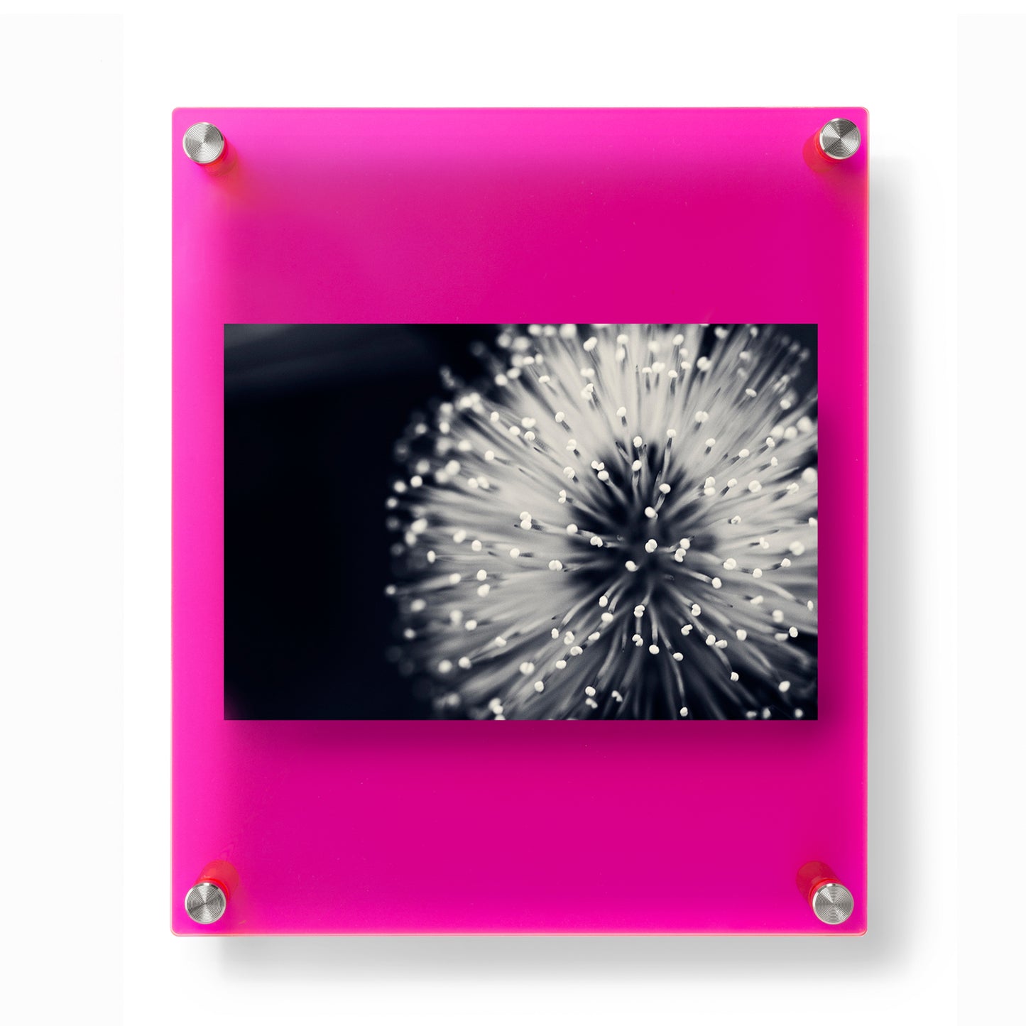 12x10" Jewel Tones Acrylic Double Panel Frame