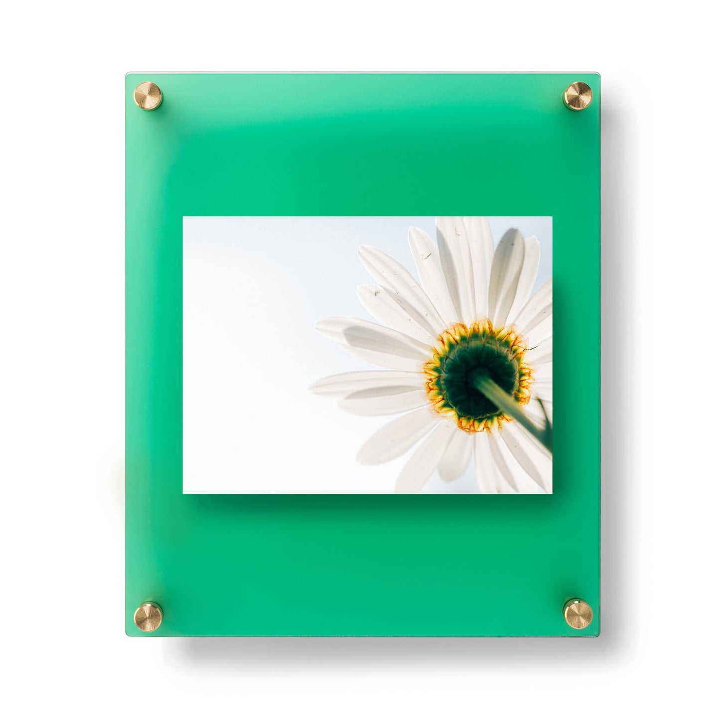 12x10" Jewel Tones Acrylic Double Panel Frame