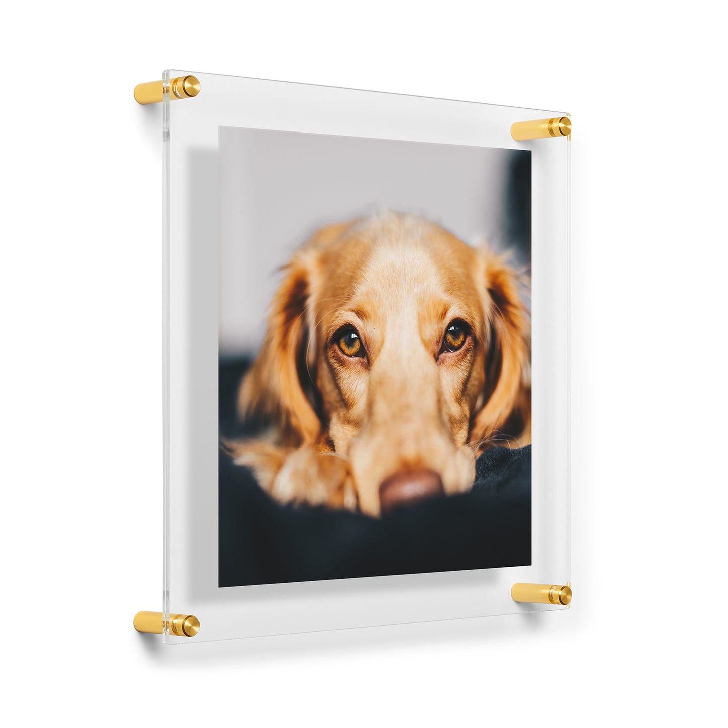 12x12" Photo Double Panel Acrylic Clear Picture Frame (Frame Size 15x15")