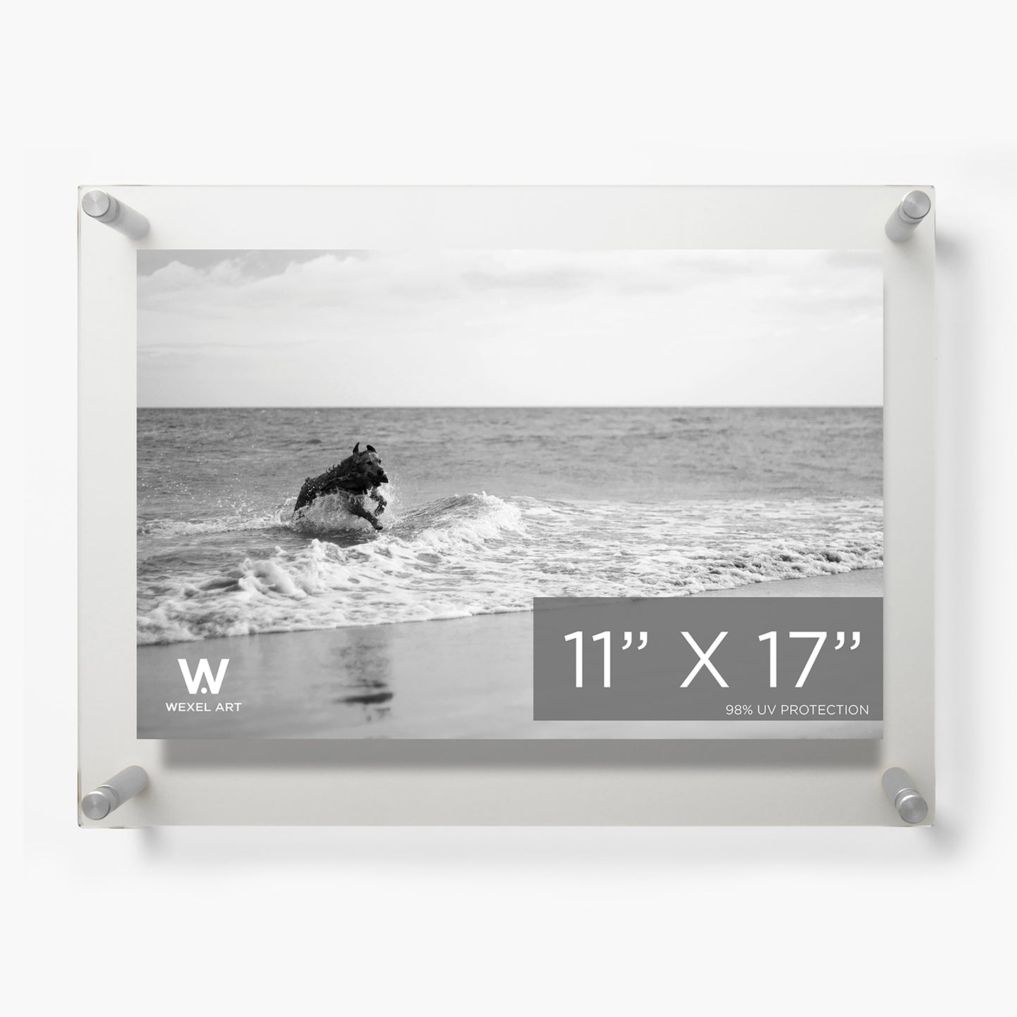 Double Panel Acrylic Floating Wall Frames | UV Grade