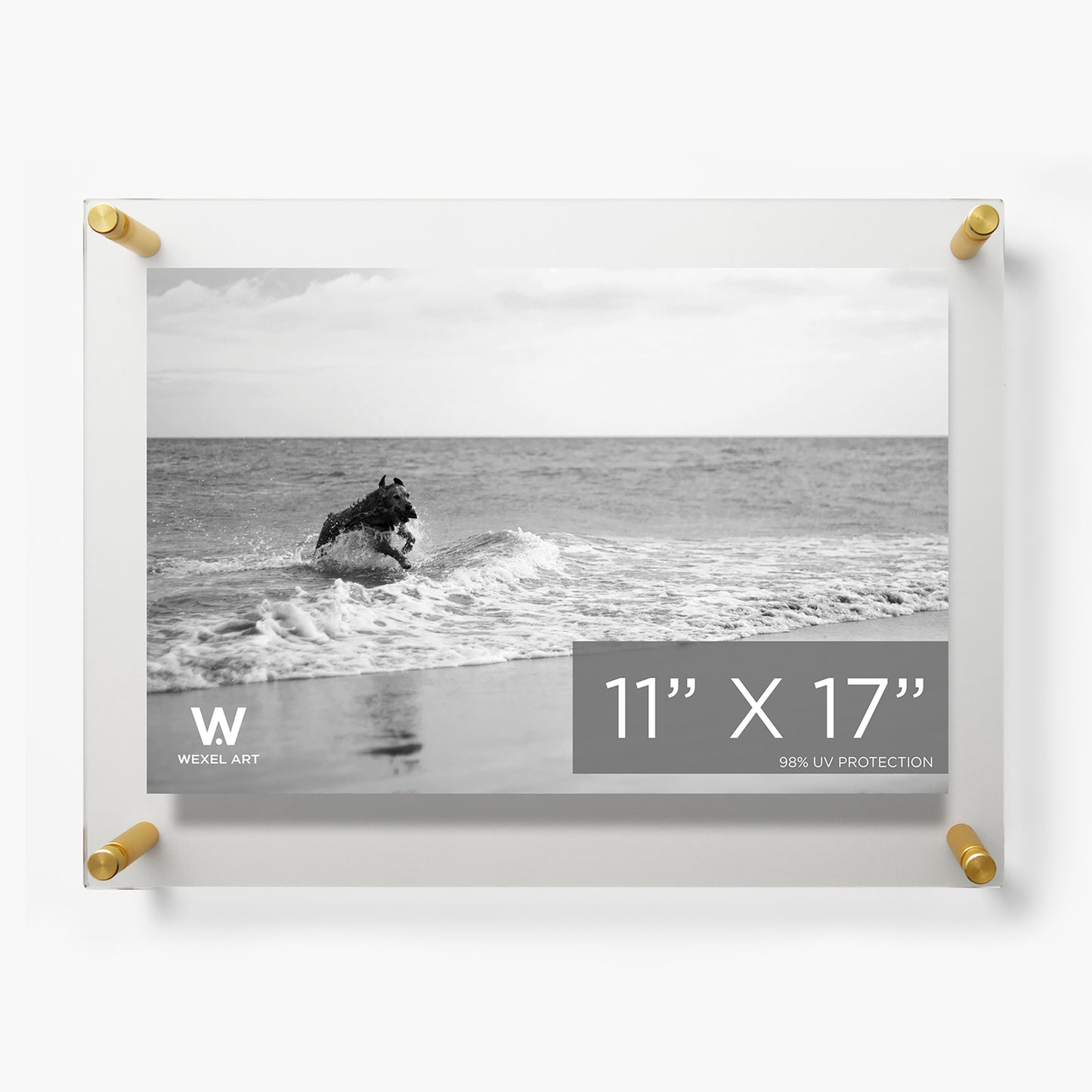 Double Panel Acrylic Floating Wall Frames | UV Grade