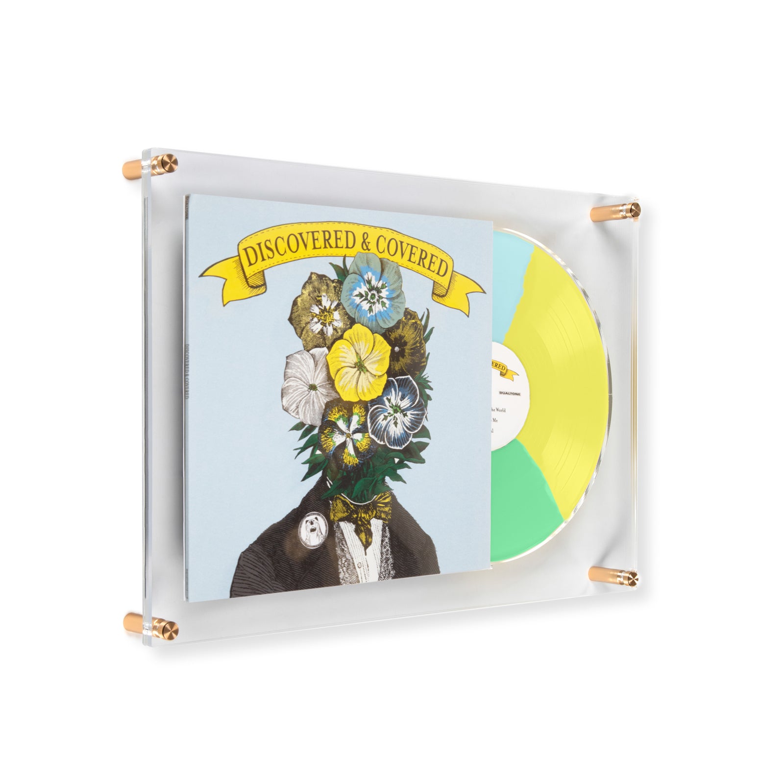 Record Reveal Acrylic Wall Frame
