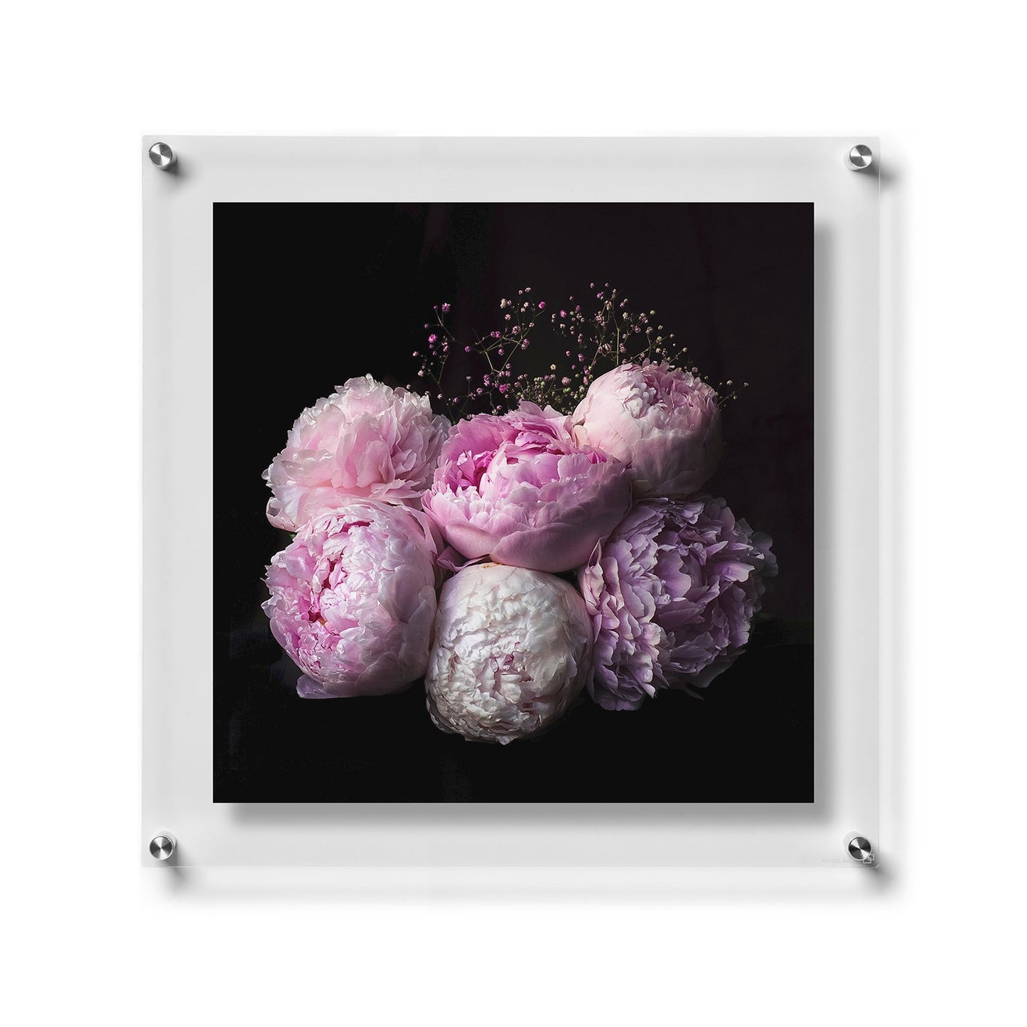 WS Double: 23" x 23" Double Panel Frame