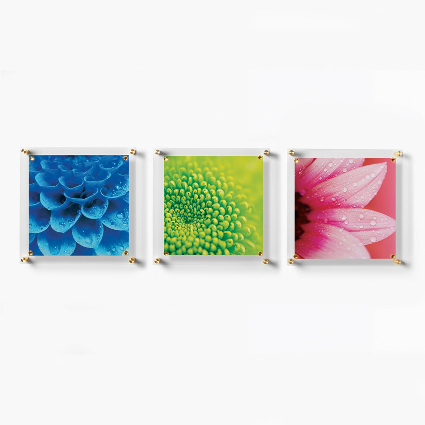 Trio: 3 Square 14" x 14" Single Panel + Magnets Frames for 12" x 12" Art