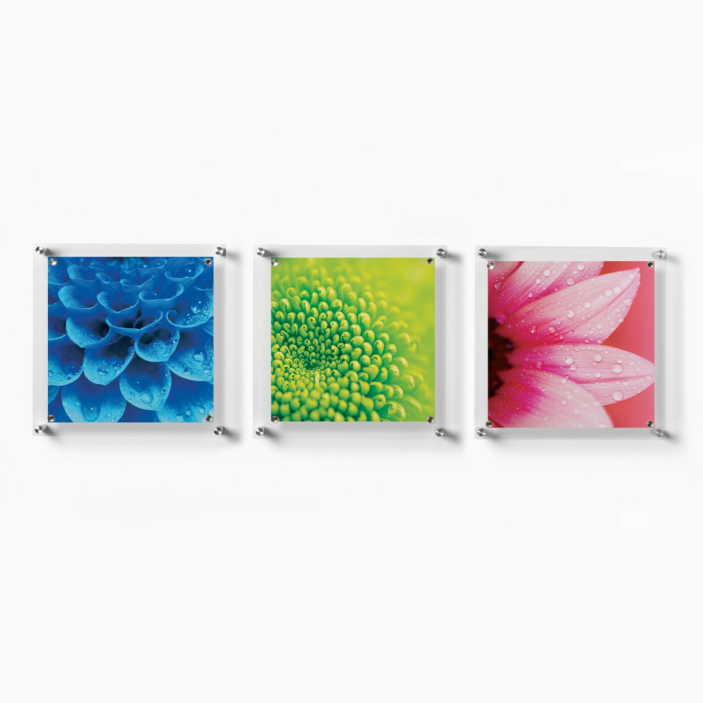 Trio: 3 Square 14" x 14" Single Panel + Magnets Frames for 12" x 12" Art