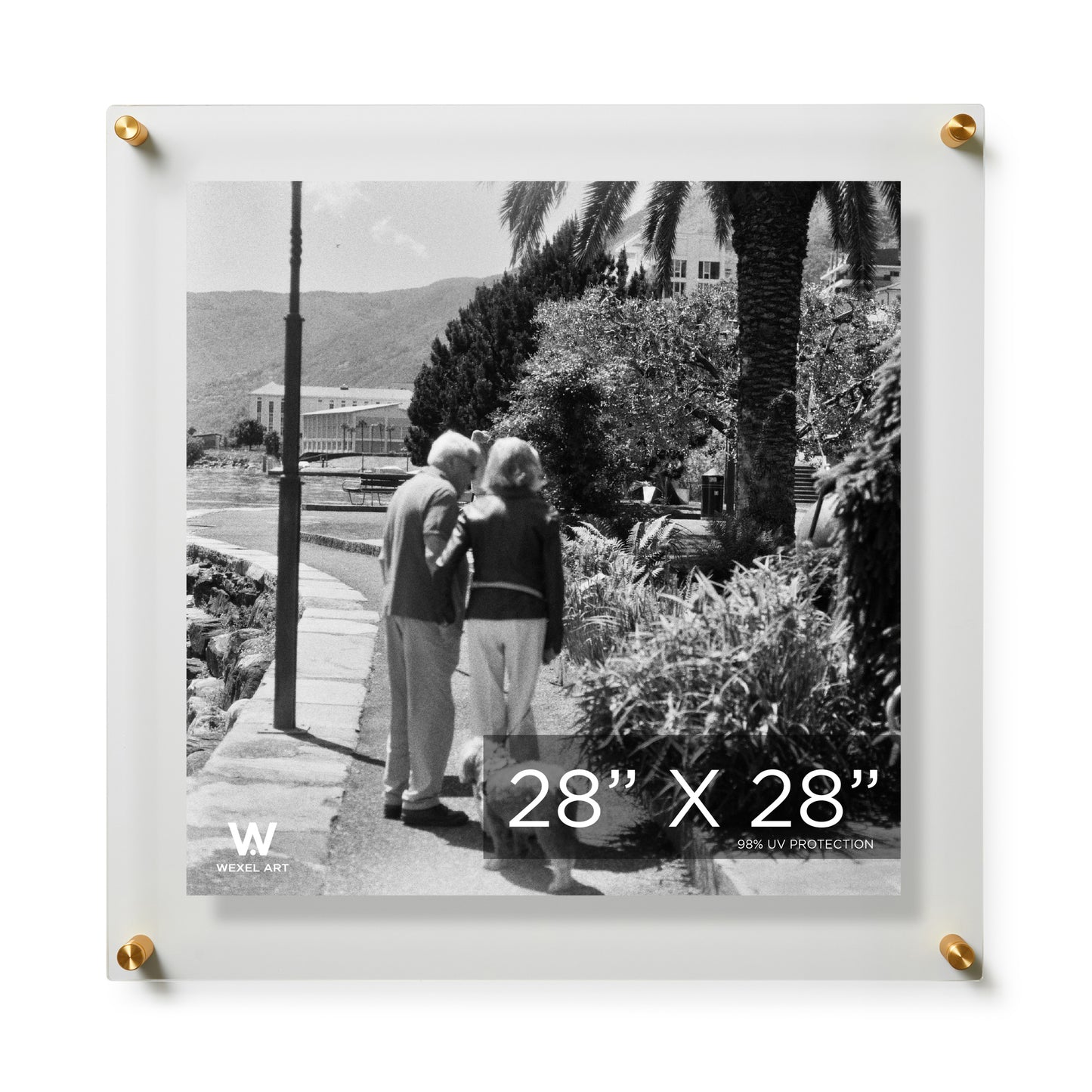 Case Pack of 2 28x28" Modern UV-Grade Acrylic Floating Wall Frame