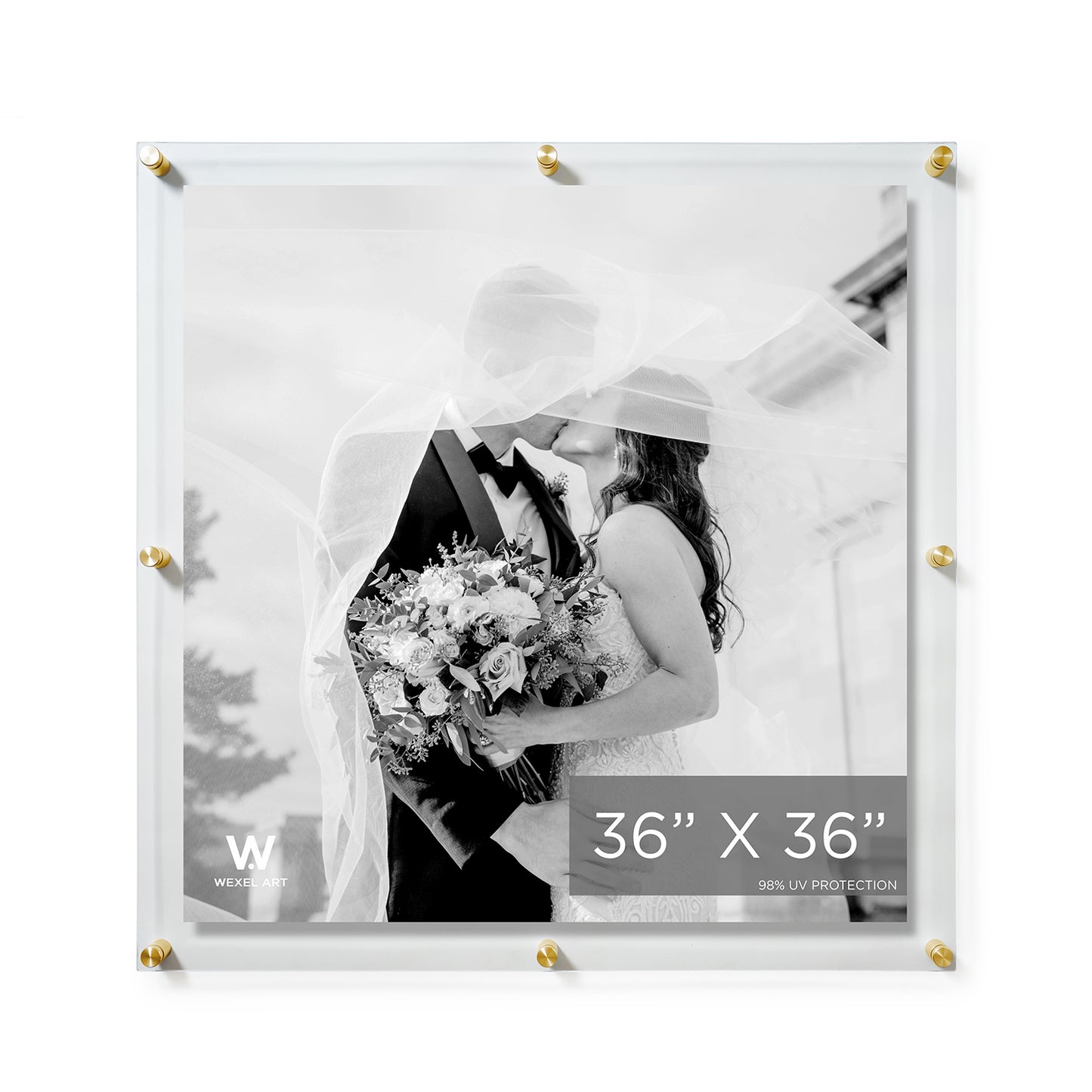Double Panel Acrylic Floating Wall Frames | UV Grade