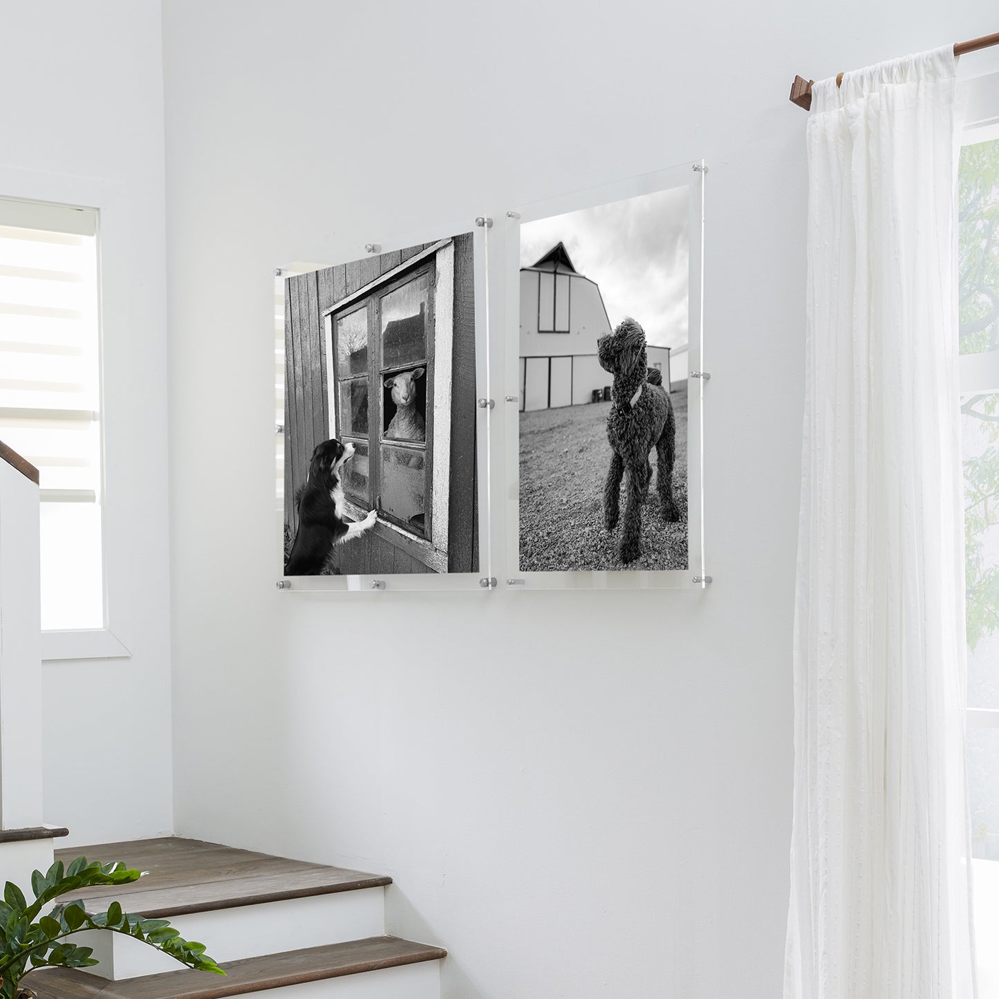 Double Panel Acrylic Floating Wall Frames | UV Grade