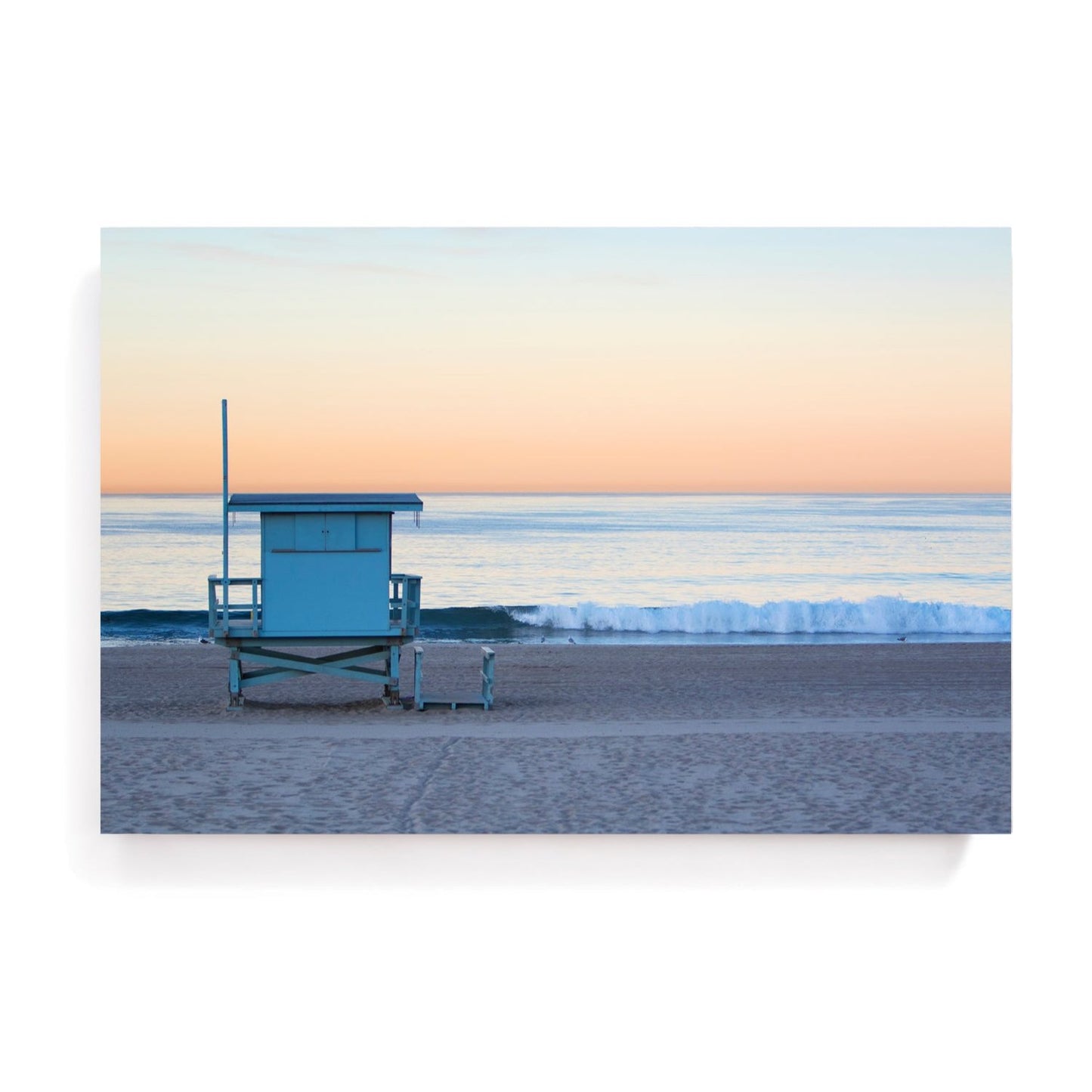 Sample Sale Framed Art in a Shadowbox