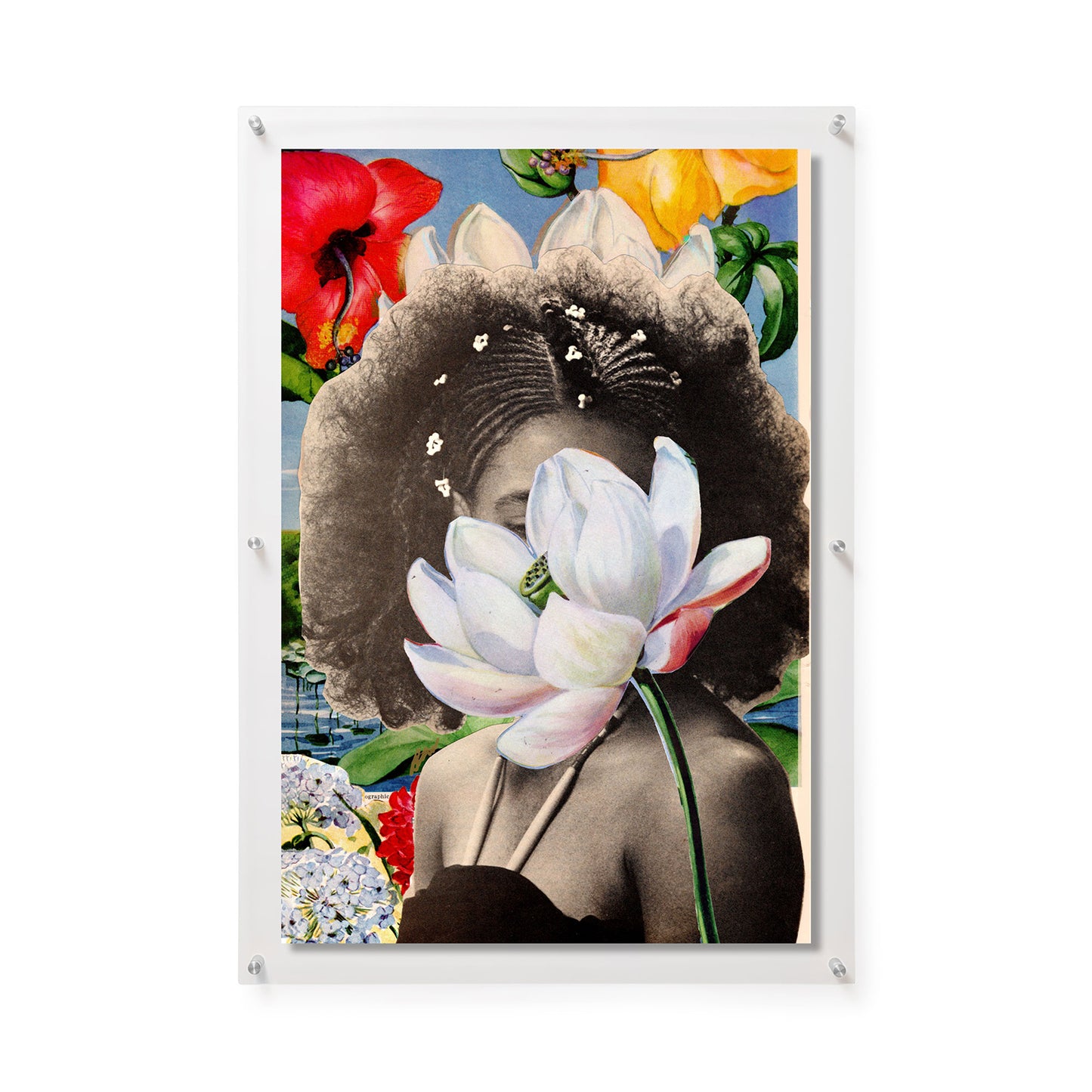 Fine Art Print / 24 x 36 / Silver