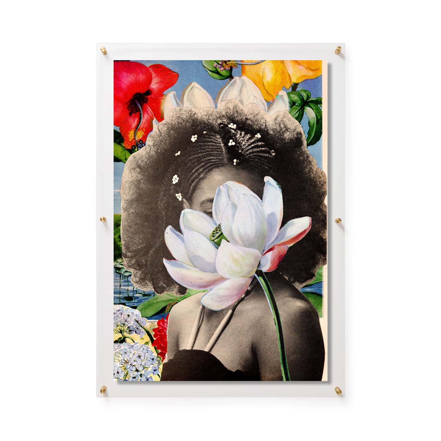 Fine Art Print / 24 x 36 / Gold