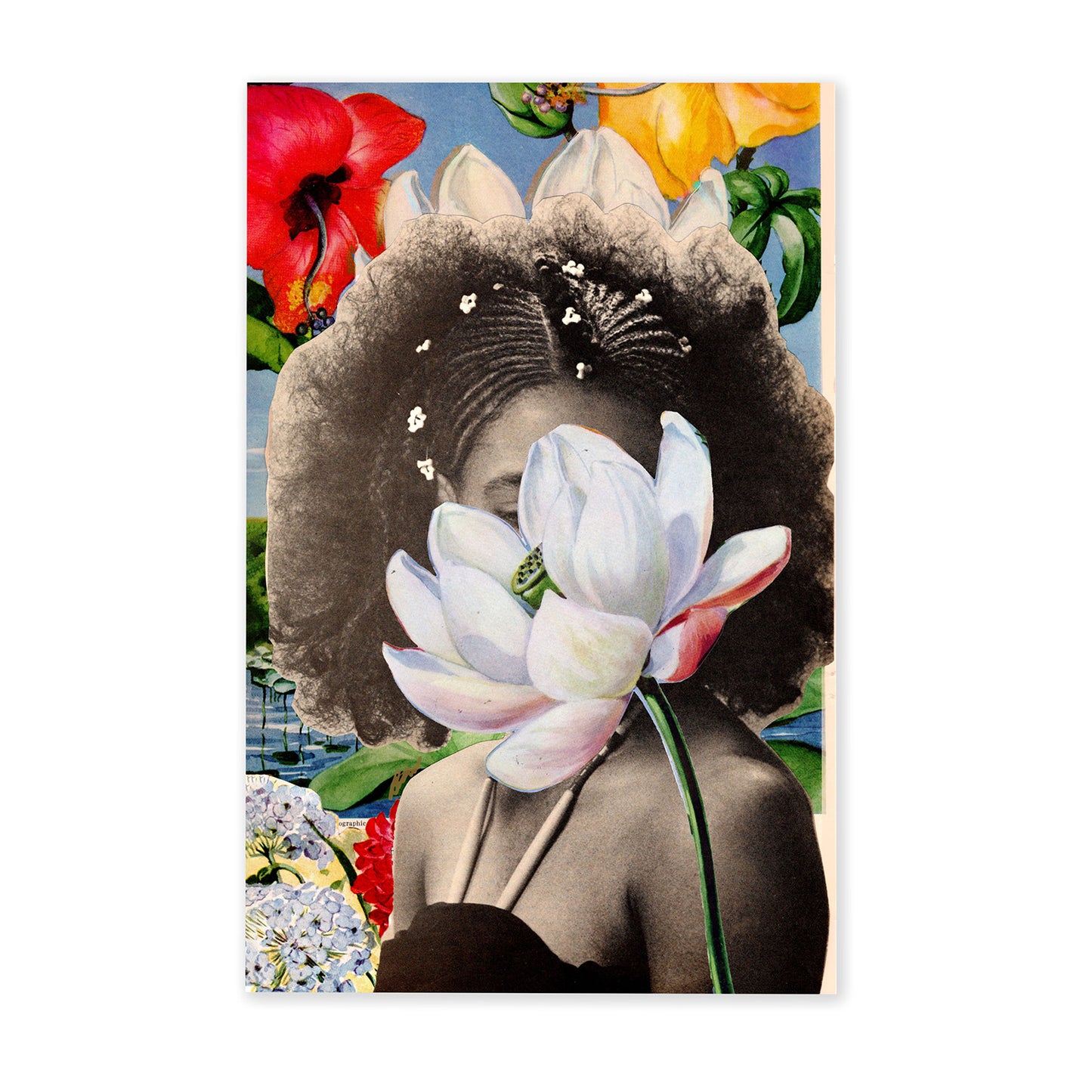 Half Fro by Brittnee Lavender