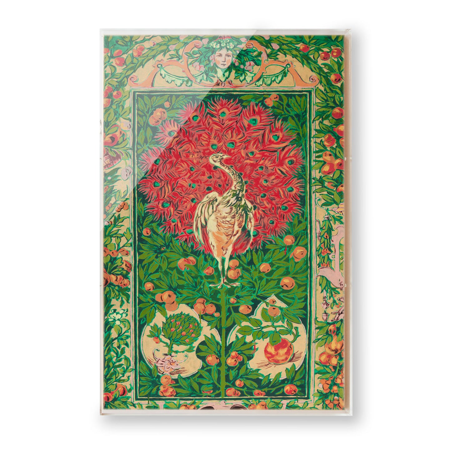 Peacock by Bachman + Petrie