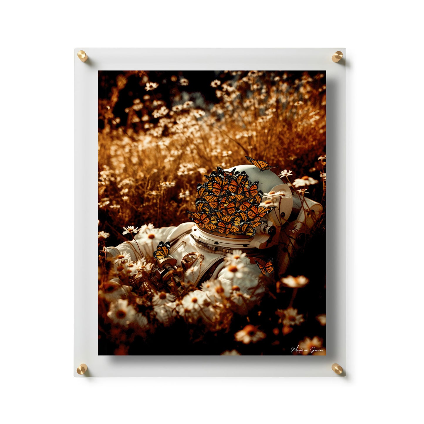 Fine Art Print / 16 x 20 / Gold