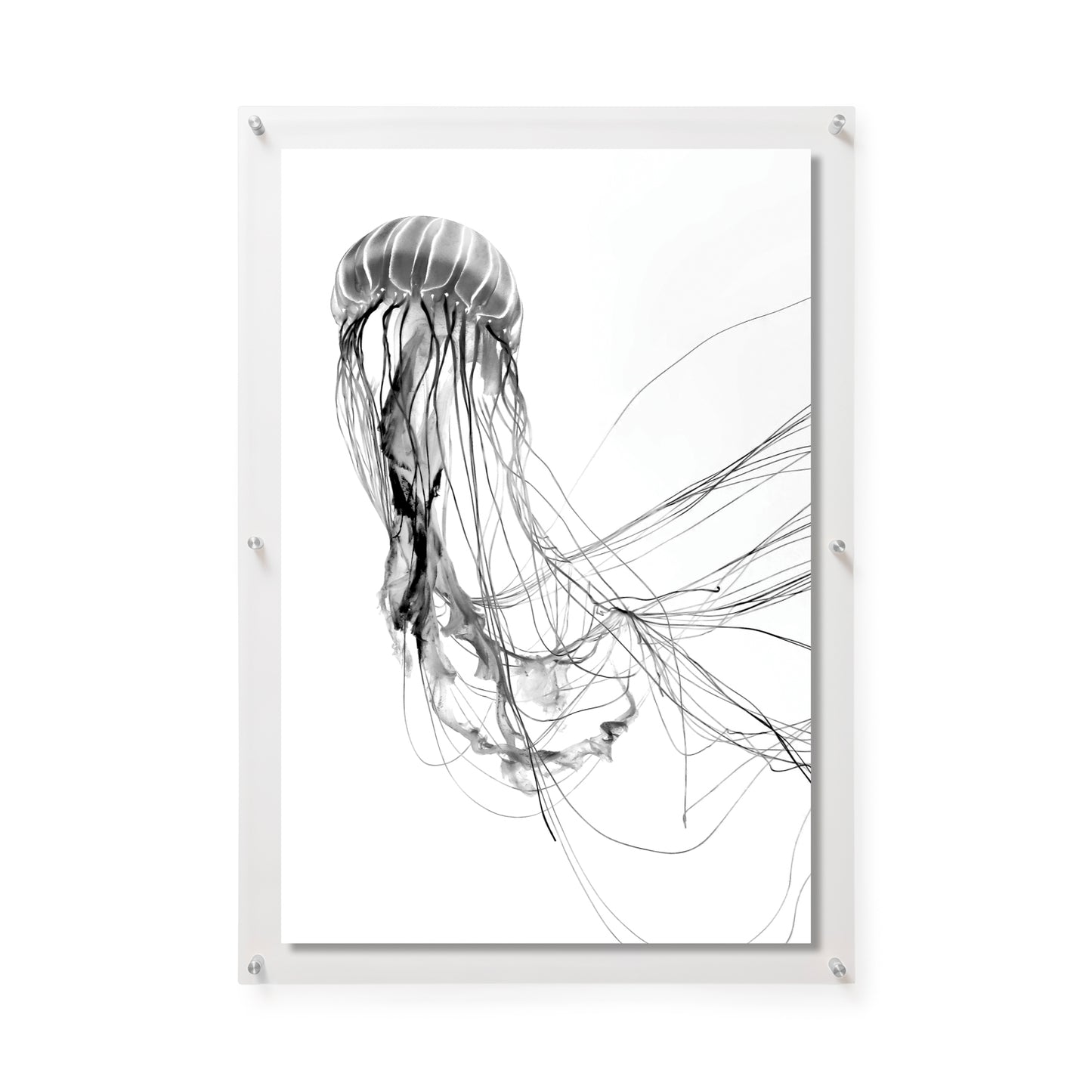 Fine Art Print / 24 x 36 / Silver