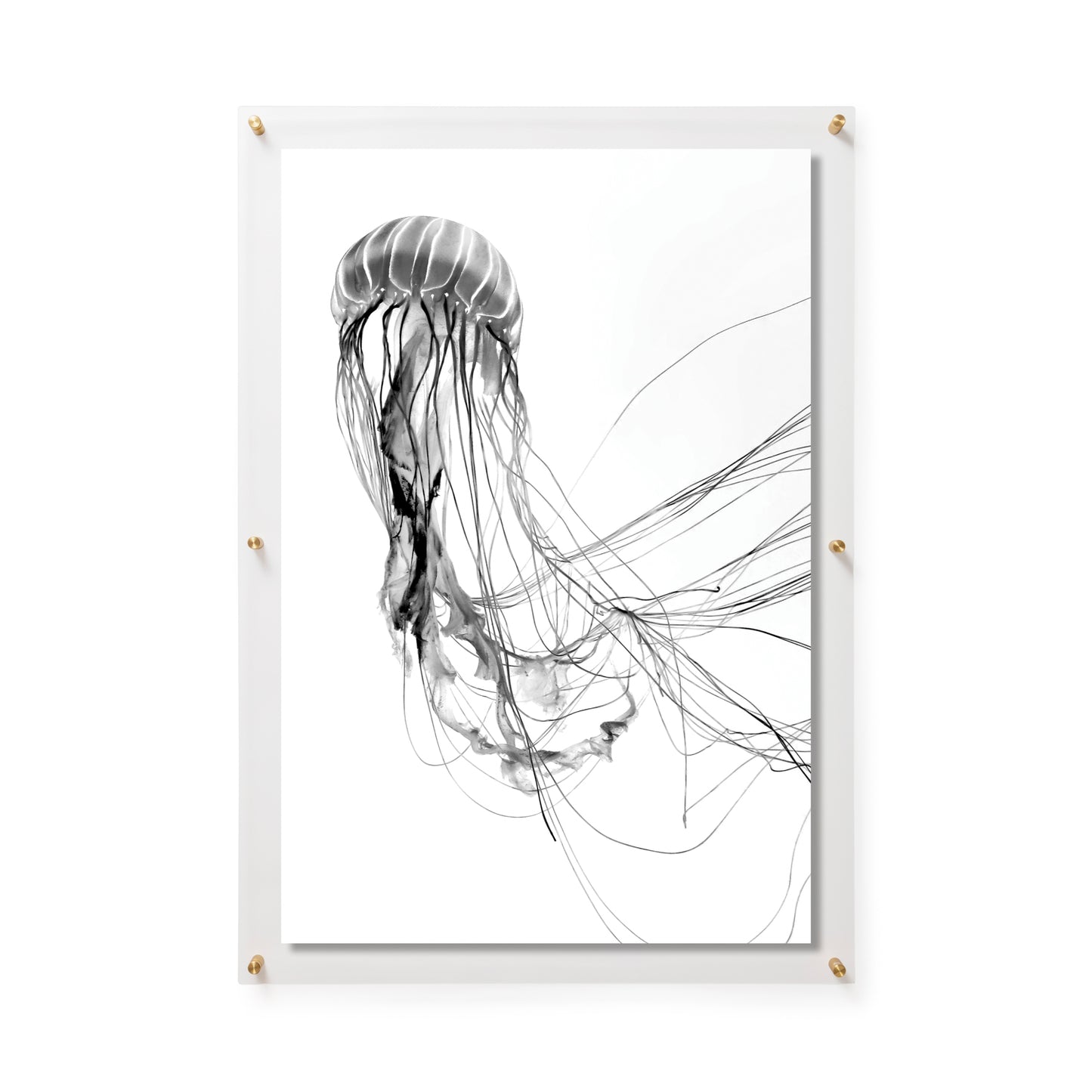 Fine Art Print / 24 x 36 / Gold