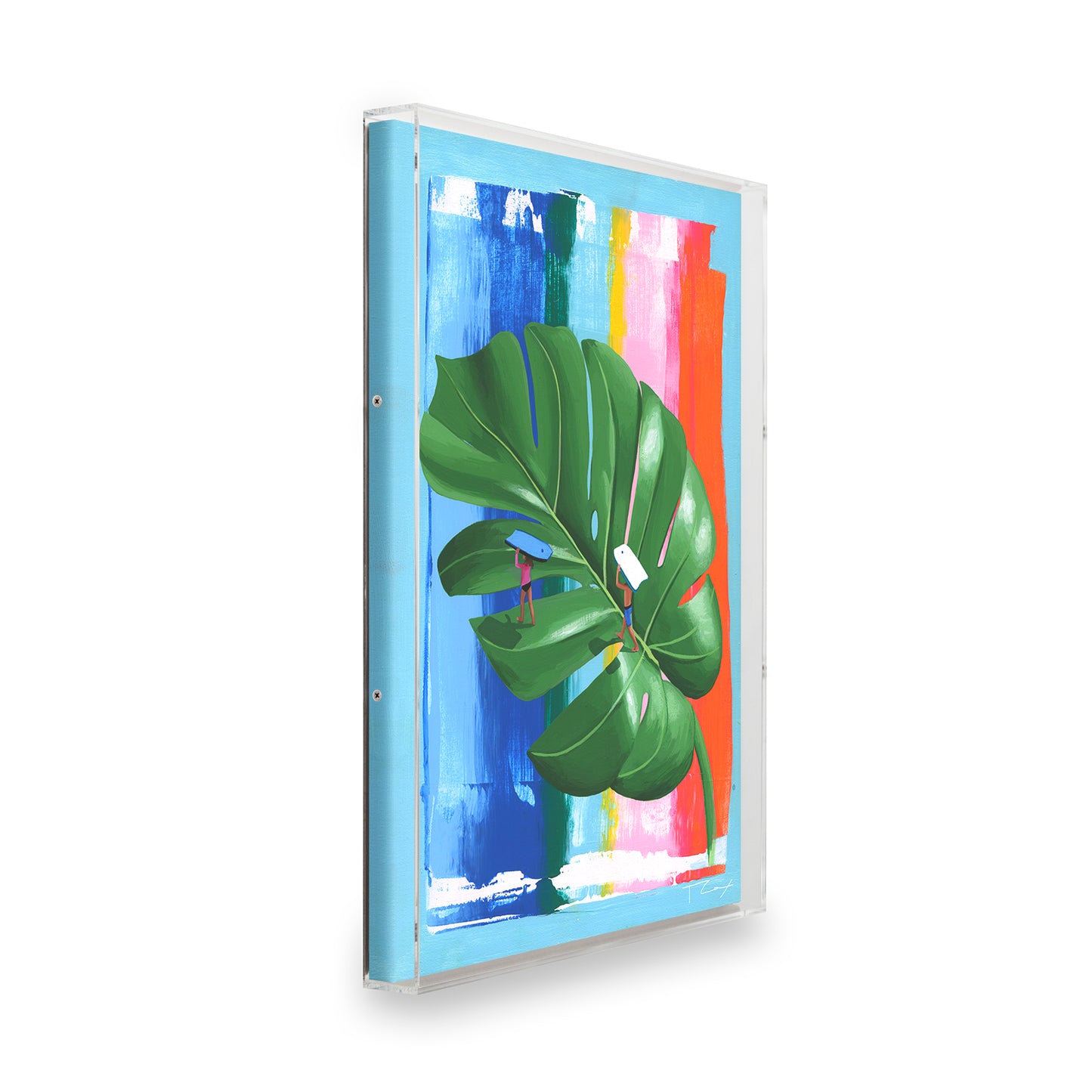 Monstera by Taylor Cox