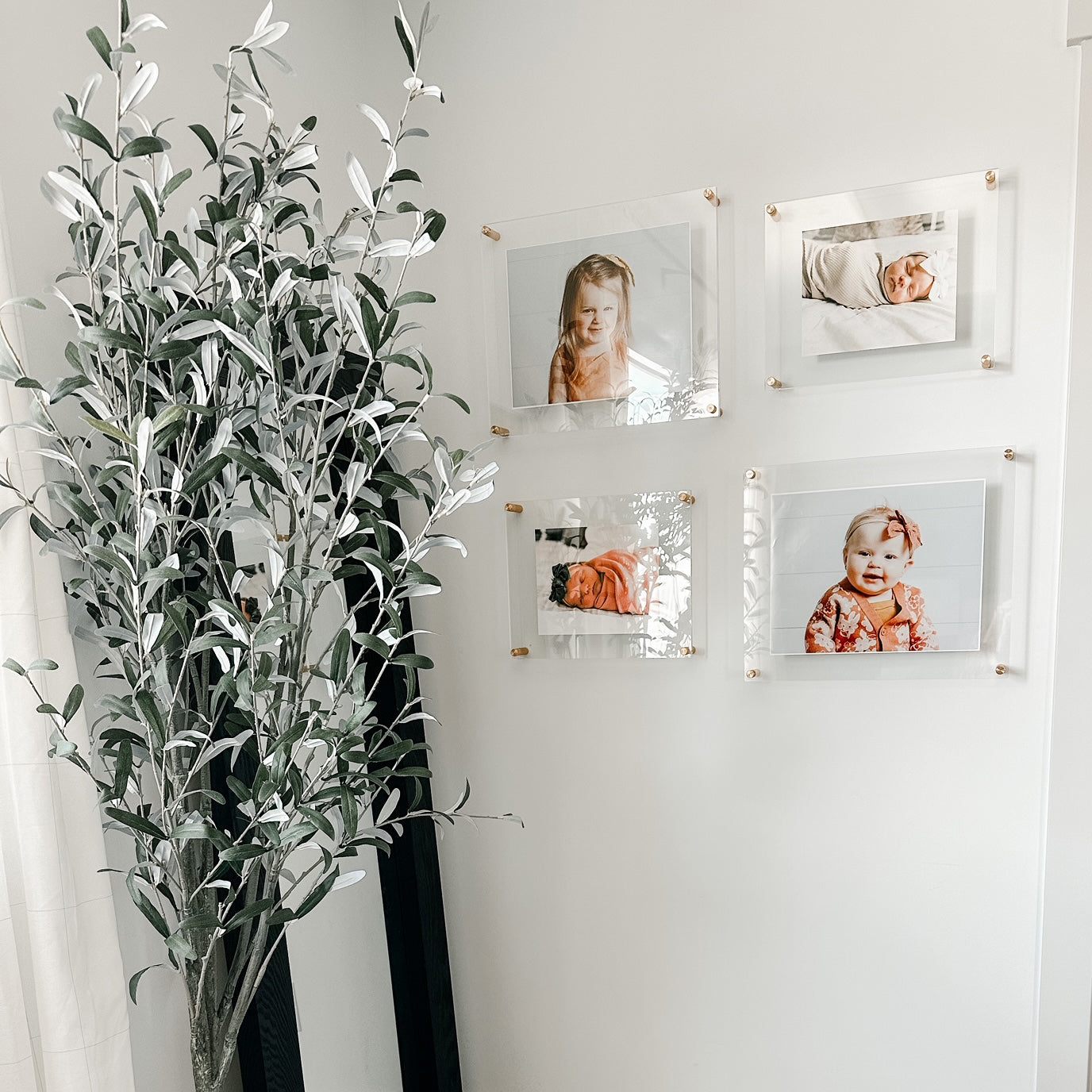 Double Panel Quattro Set of 4 Floating Frames
