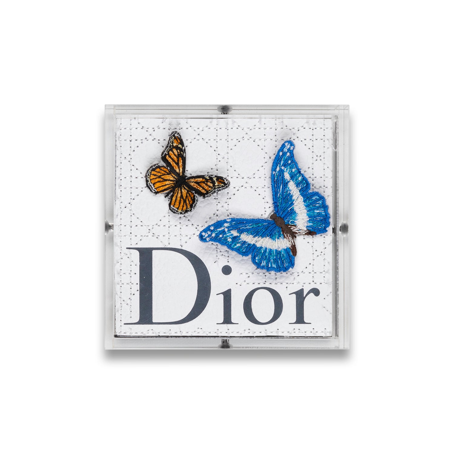 Petite Dior Butterfly Swarm by Stephen Wilson (5x5x2
