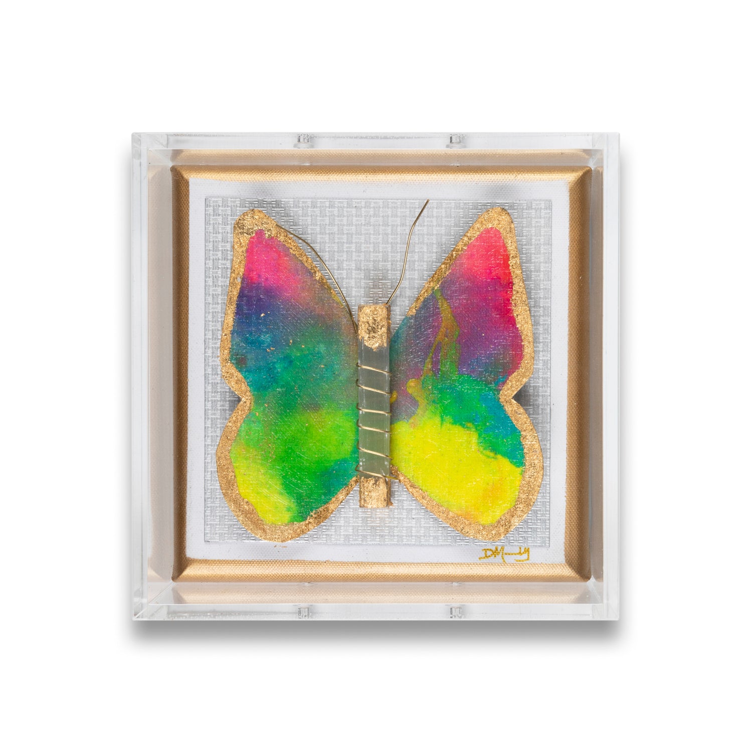 Happy Rainbow Butterfly by Dana Manly