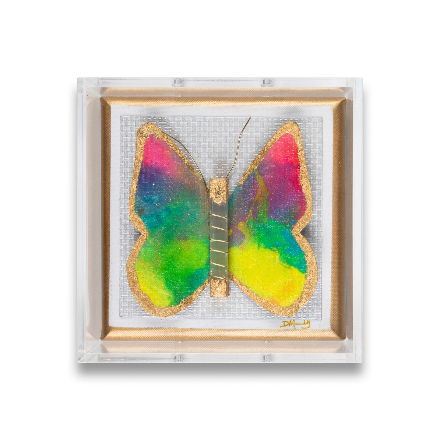 Happy Rainbow Butterfly by Dana Manly