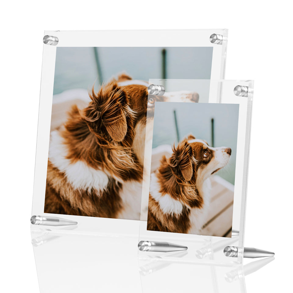 Case Pack of 5 Set of 4x6" and 8x10" Tabletop Frames Wexel Art