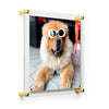 Acrylic Frames