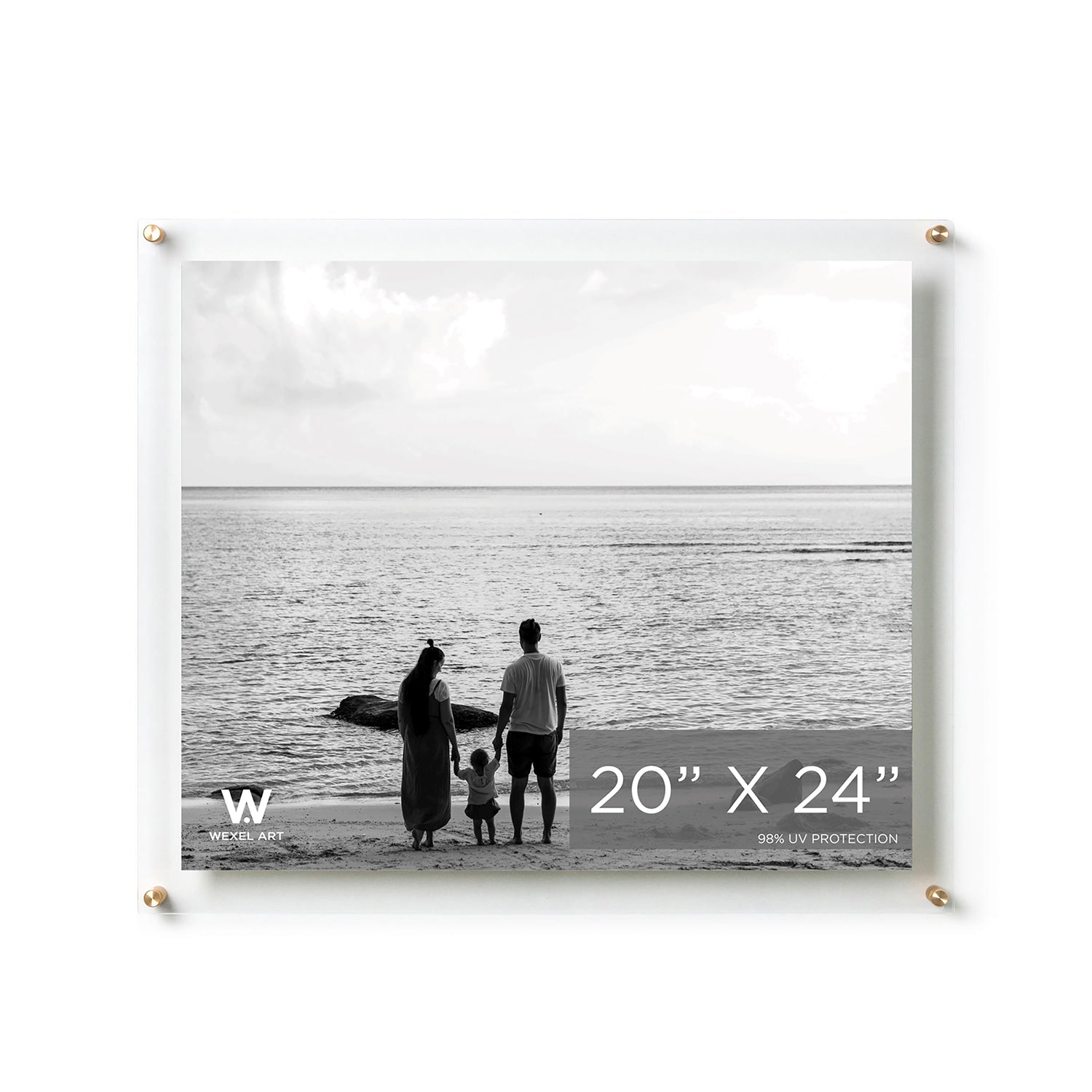 20x24