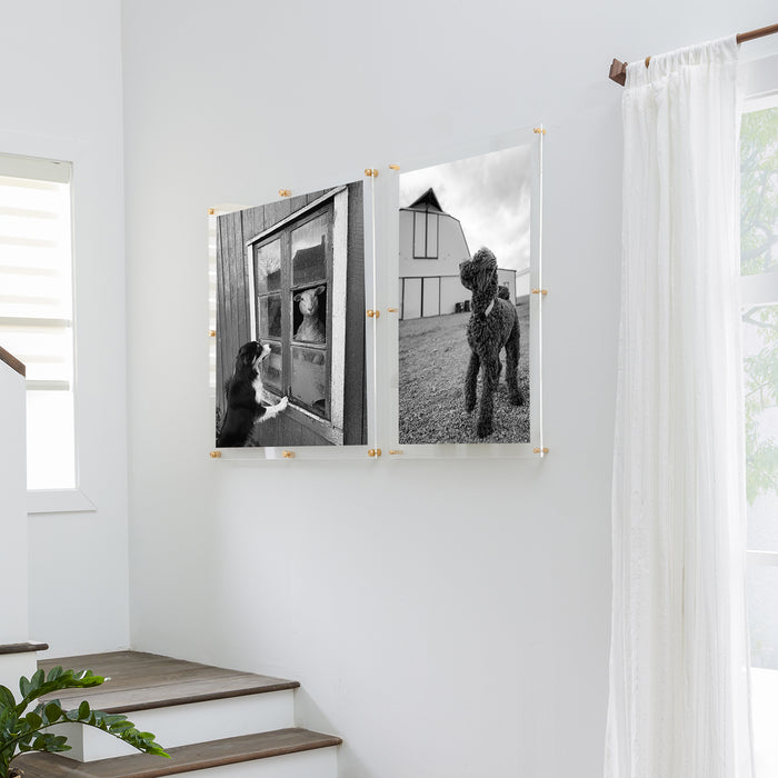 36x36" Modern UV-Grade Acrylic Floating Wall Frame