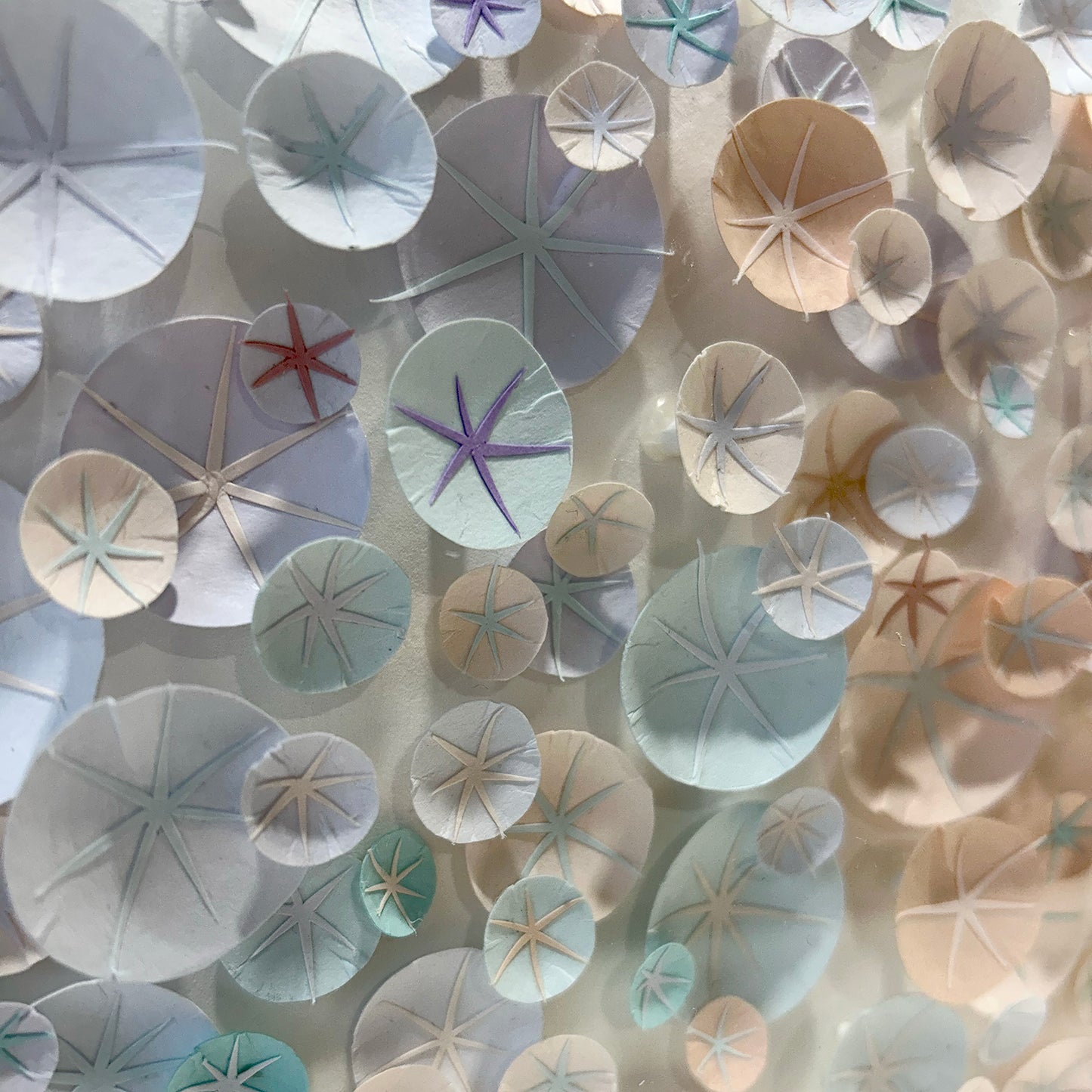 Lumea Series by Anouk Vigneau