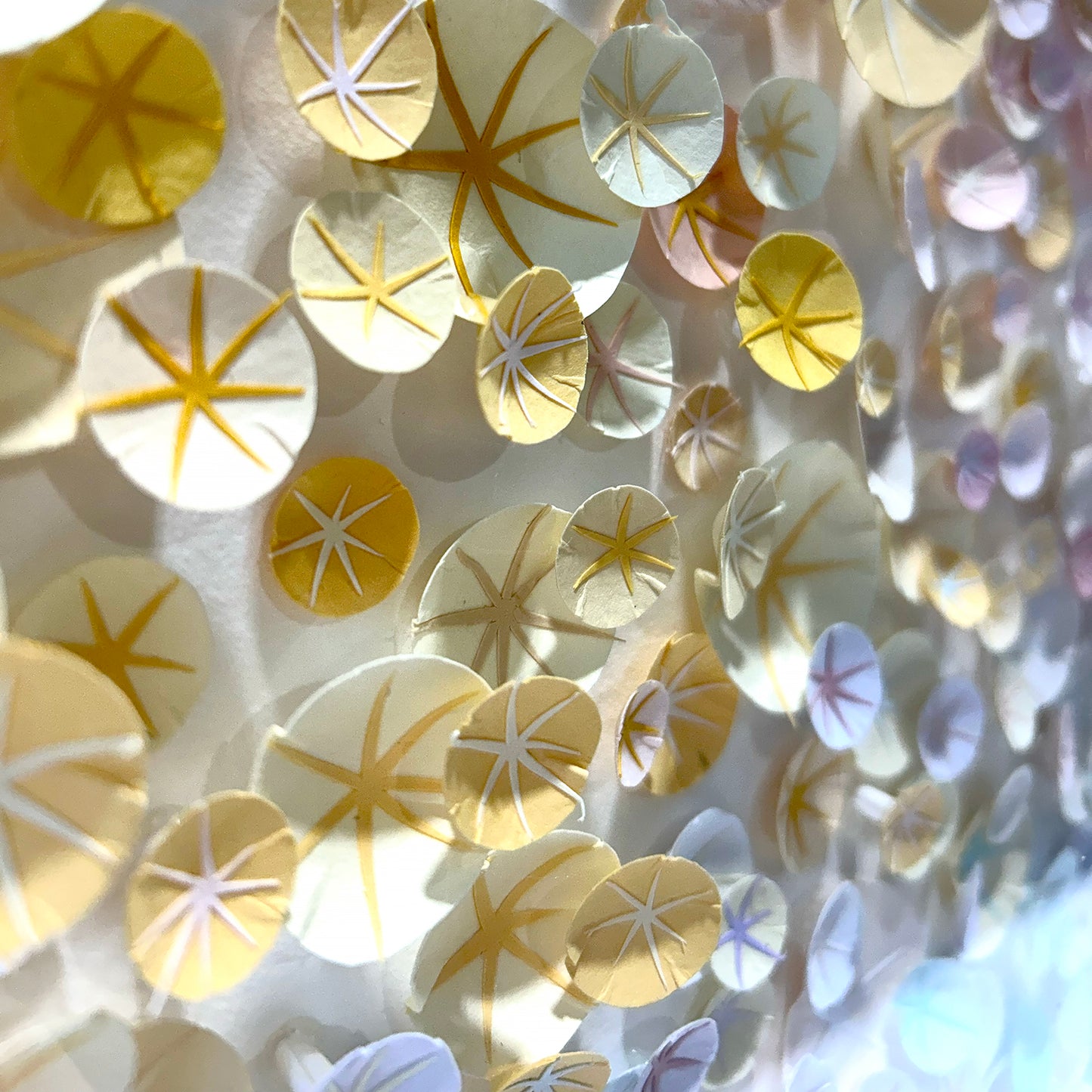 Lumea Series by Anouk Vigneau