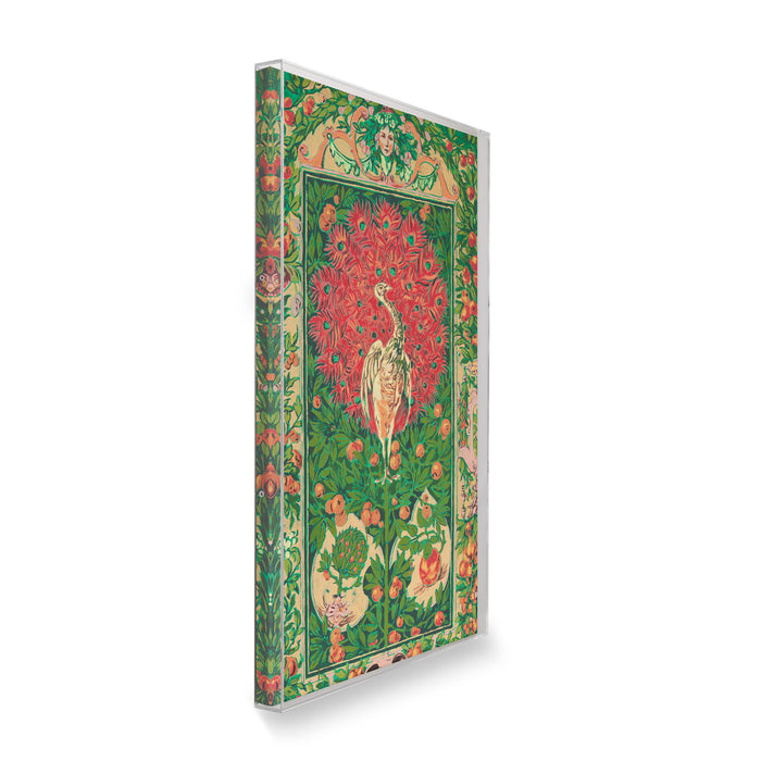 Peacock by Bachman + Petrie