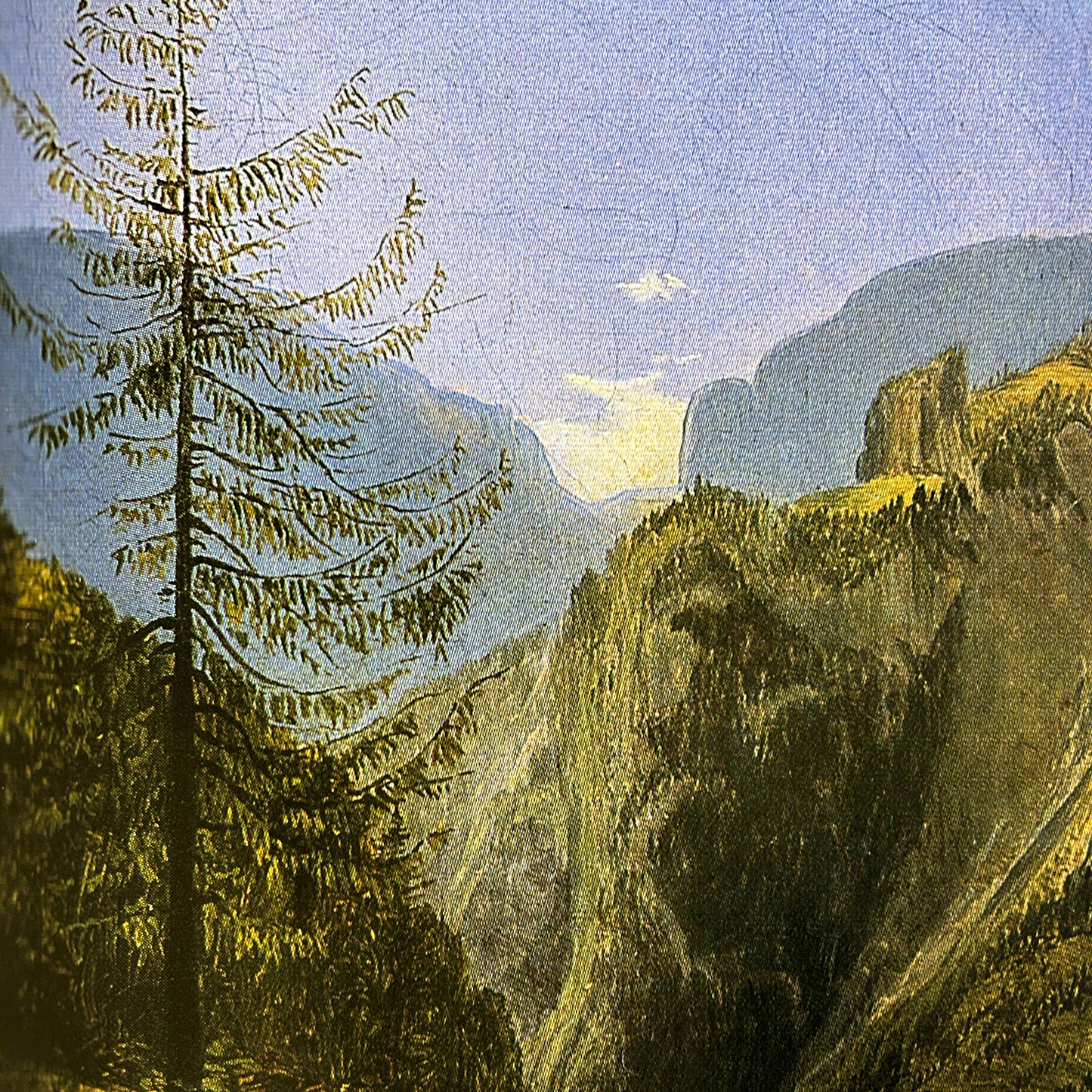 In the Deep and Sheepless Pastures of a Long Sleep by Bob Schneider