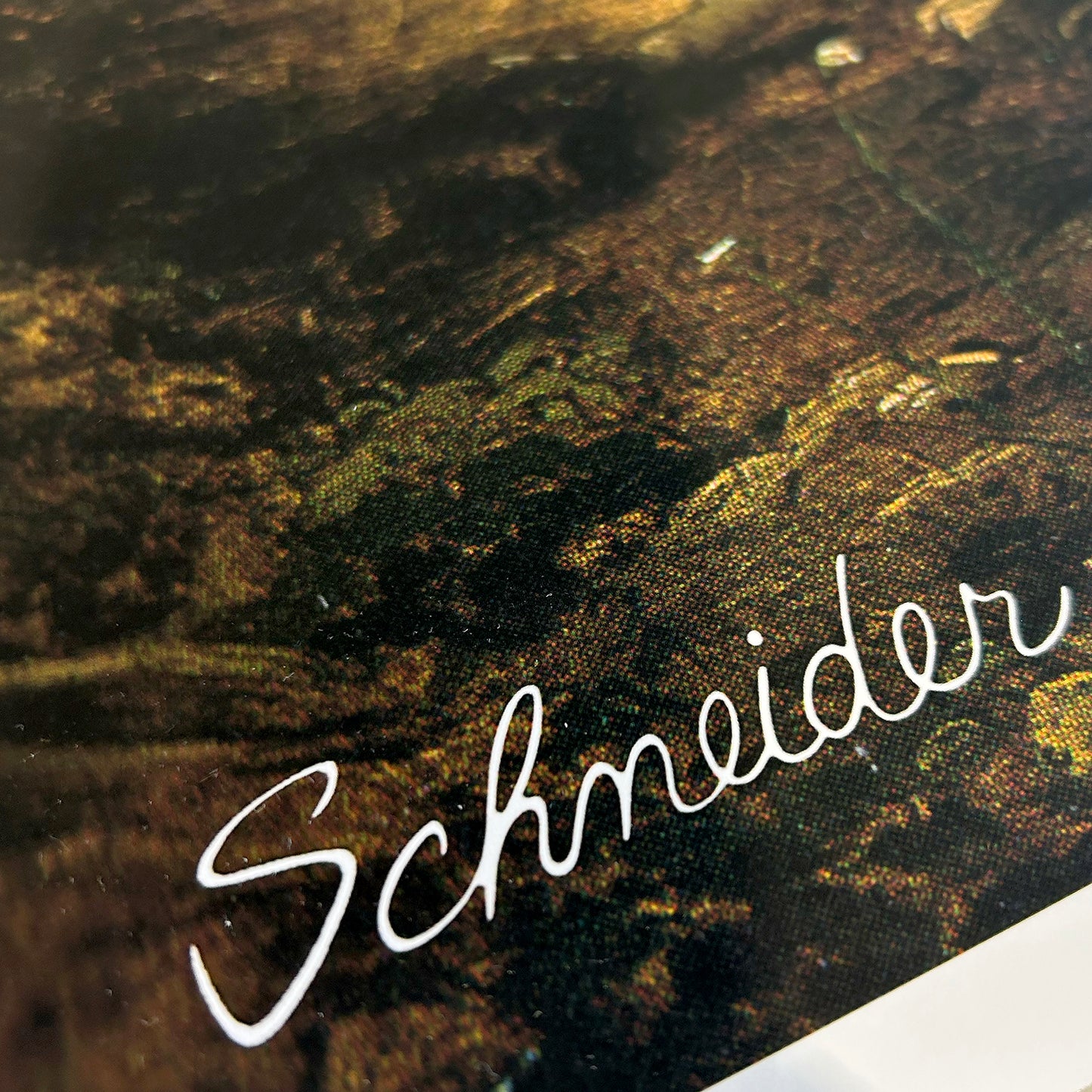 In the Deep and Sheepless Pastures of a Long Sleep by Bob Schneider