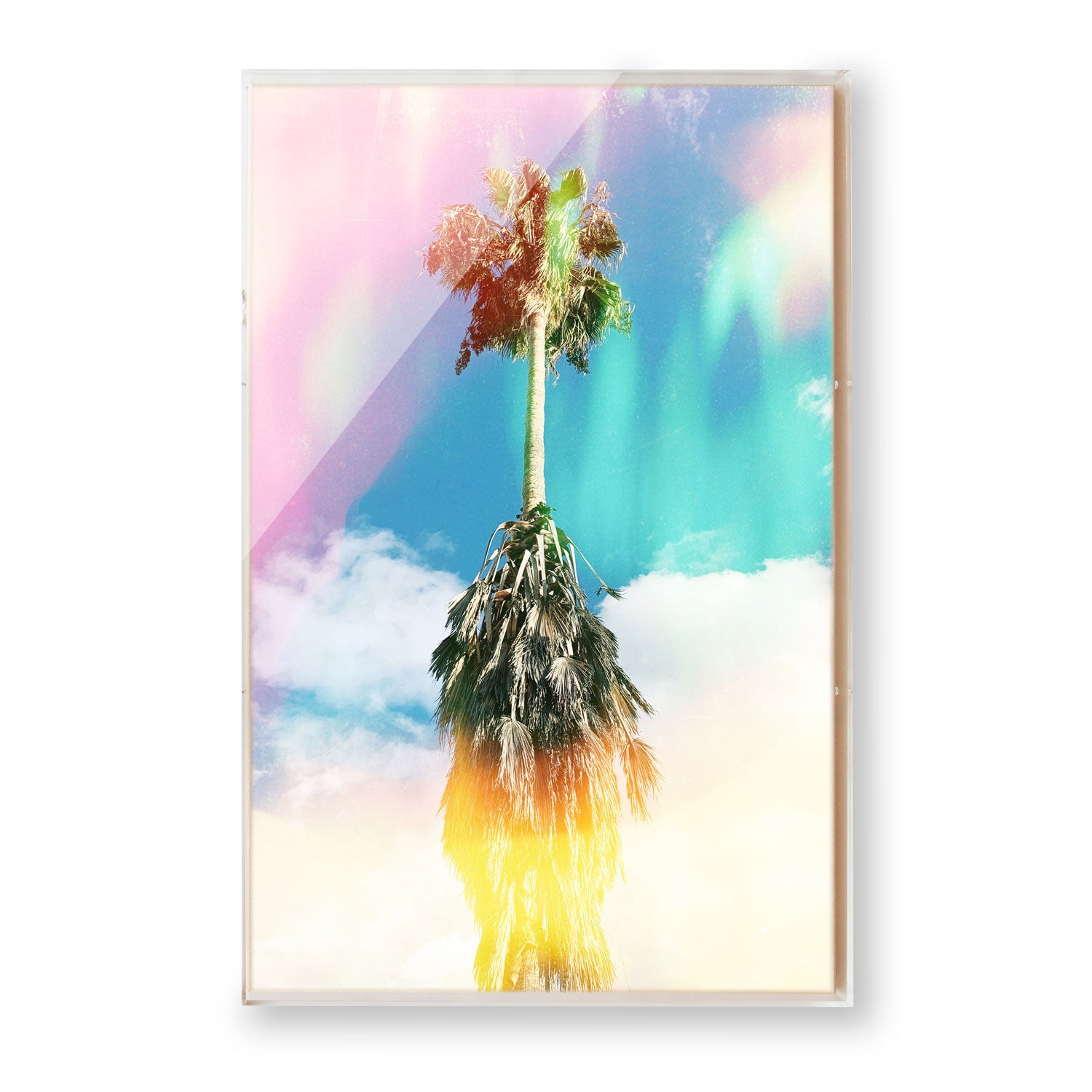 Aurora Palm by Brooke Wilen
