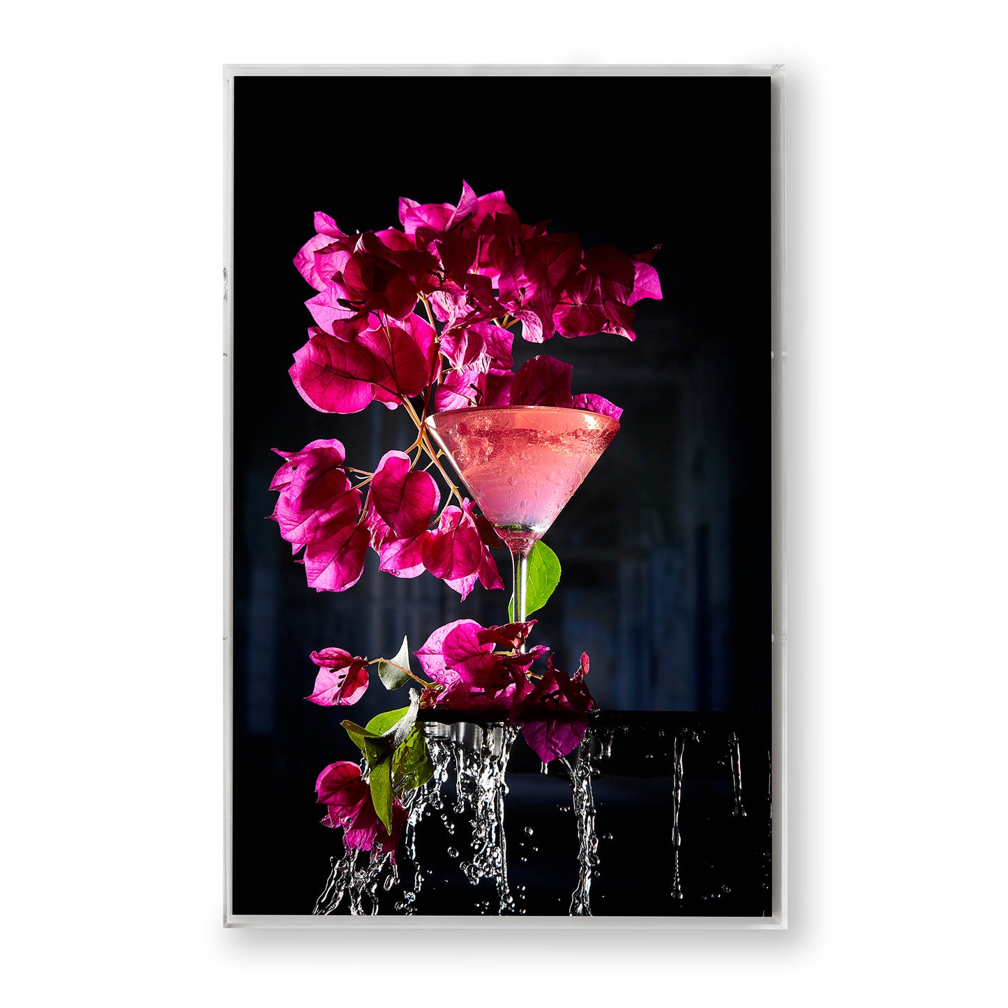 Bougainvillea by Chriscilla Browning