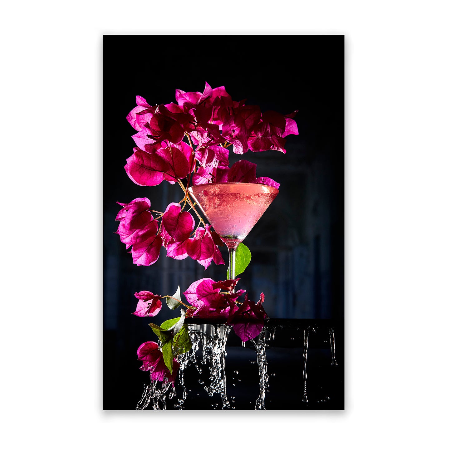 Bougainvillea by Chriscilla Browning