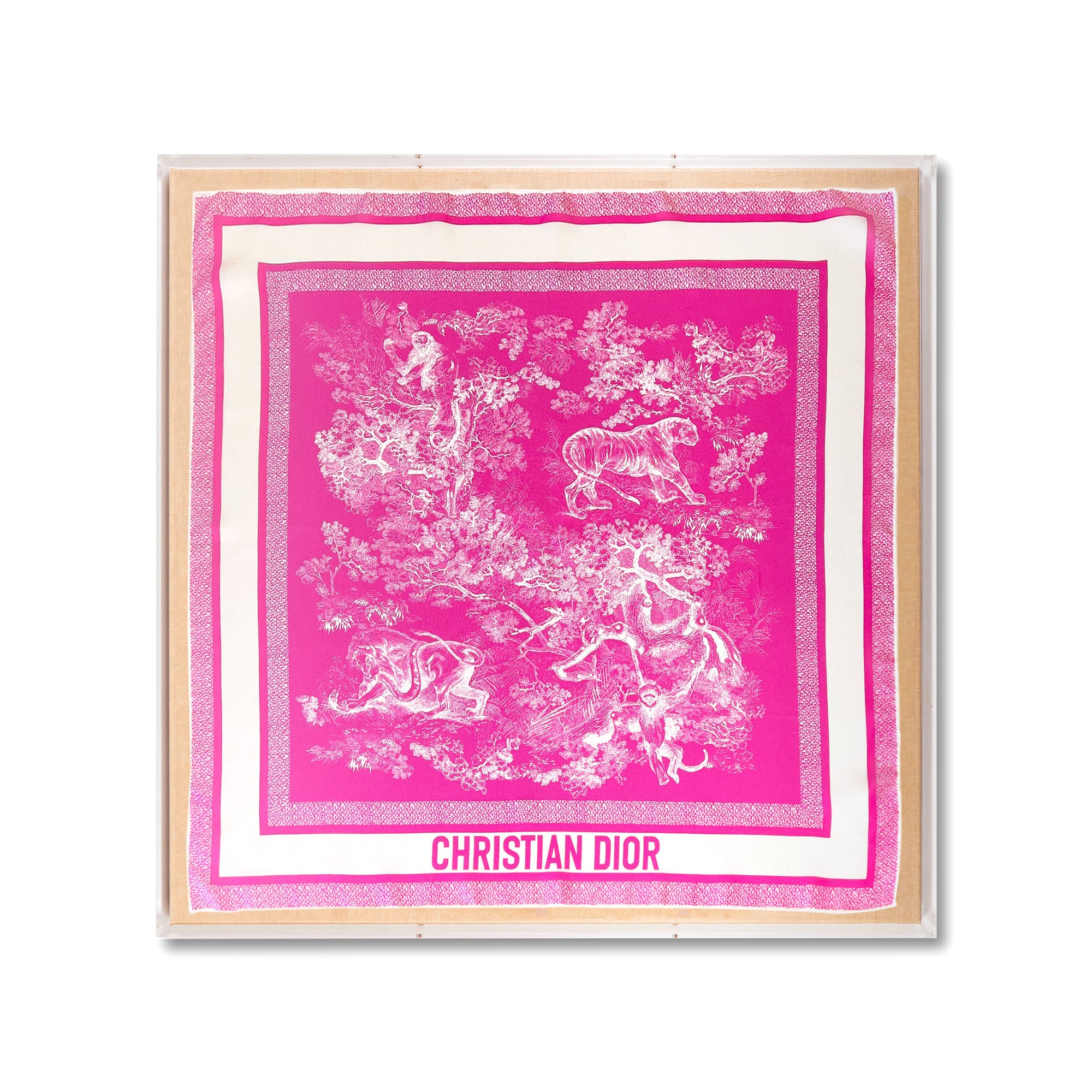 Framed Christian Dior Pink Tolle Scarf in a 30x30x2