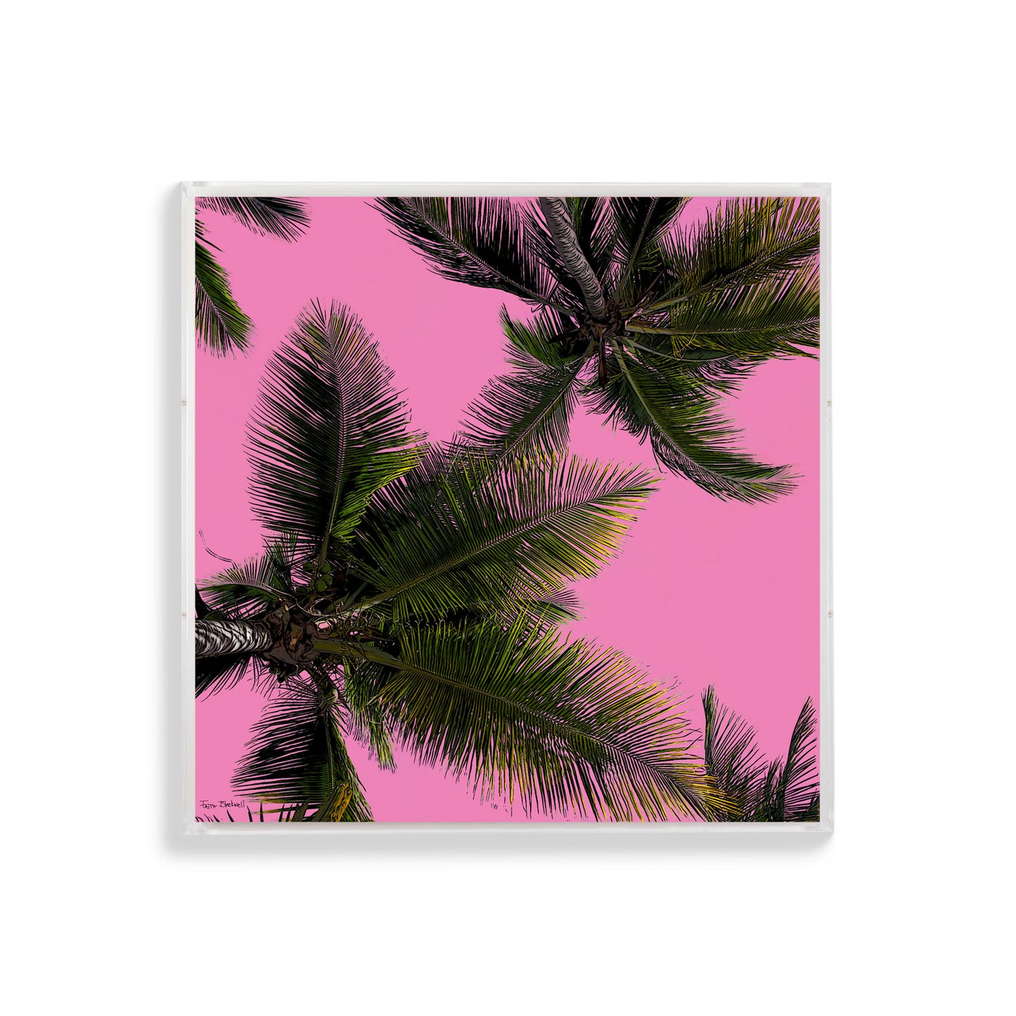 Palm Trees by Faith Blackwell