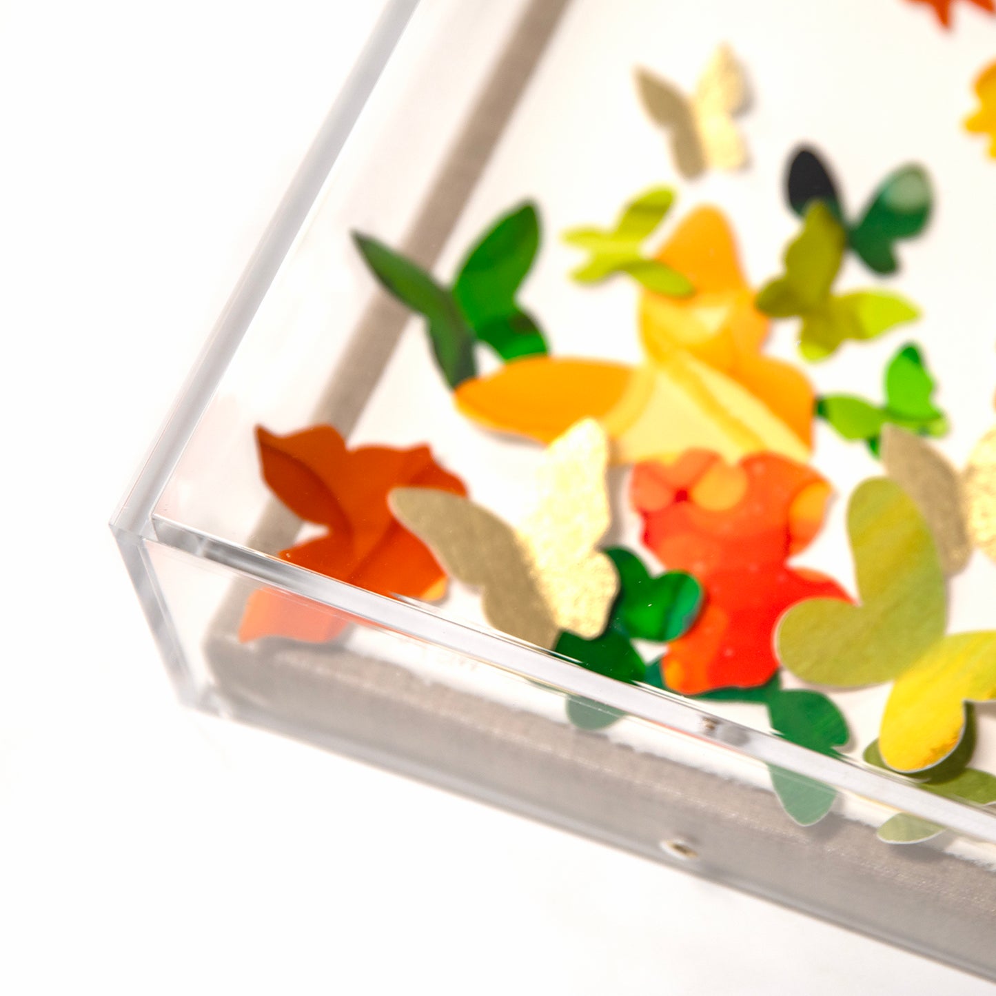 Migration Series by Ginger Walker & Sarah Gentry