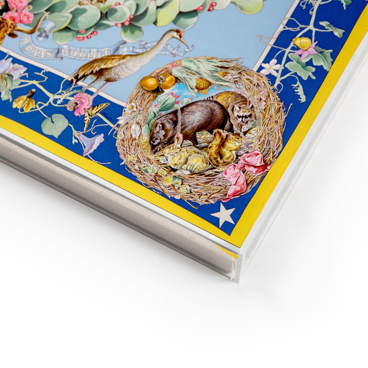 Framed Hermès Faune Et Flore du Texas Wildlife Silk Scarf by Kermit Oliver in a 36x36x2" Shadowbox