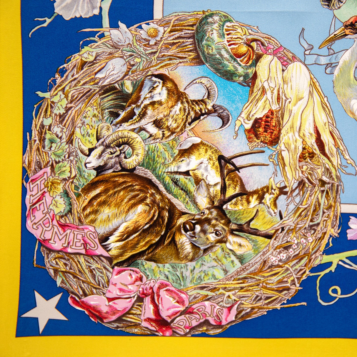Framed Hermès Faune Et Flore du Texas Wildlife Silk Scarf by Kermit Oliver in a 36x36x2" Shadowbox