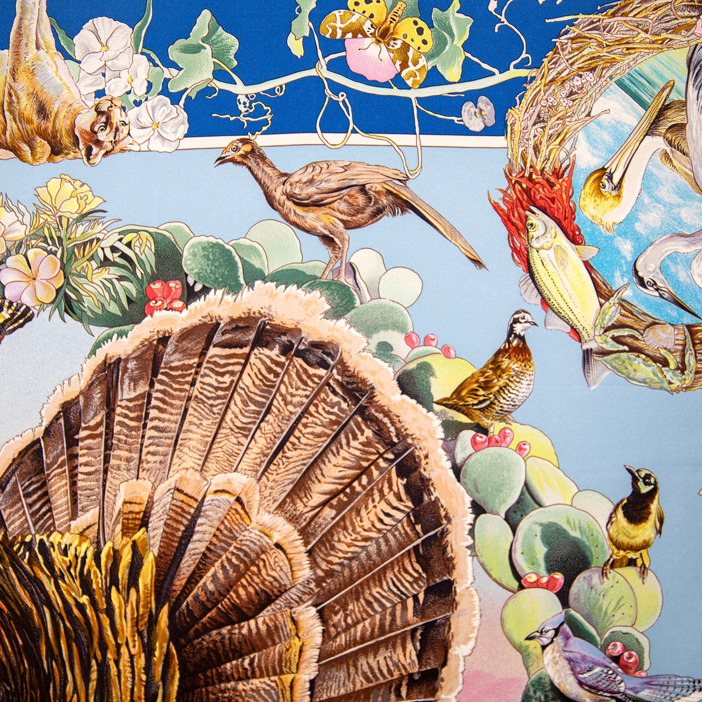 Framed Hermès Faune Et Flore du Texas Wildlife Silk Scarf by Kermit Oliver in a 36x36x2" Shadowbox