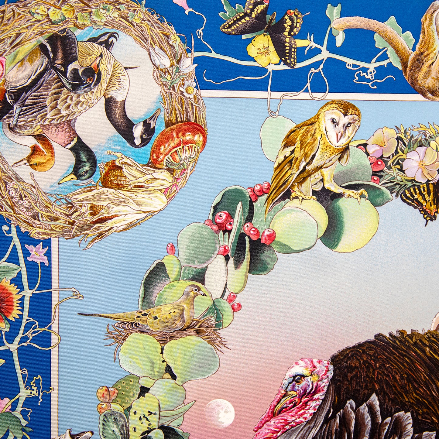Framed Hermès Faune Et Flore du Texas Wildlife Silk Scarf by Kermit Oliver in a 36x36x2" Shadowbox