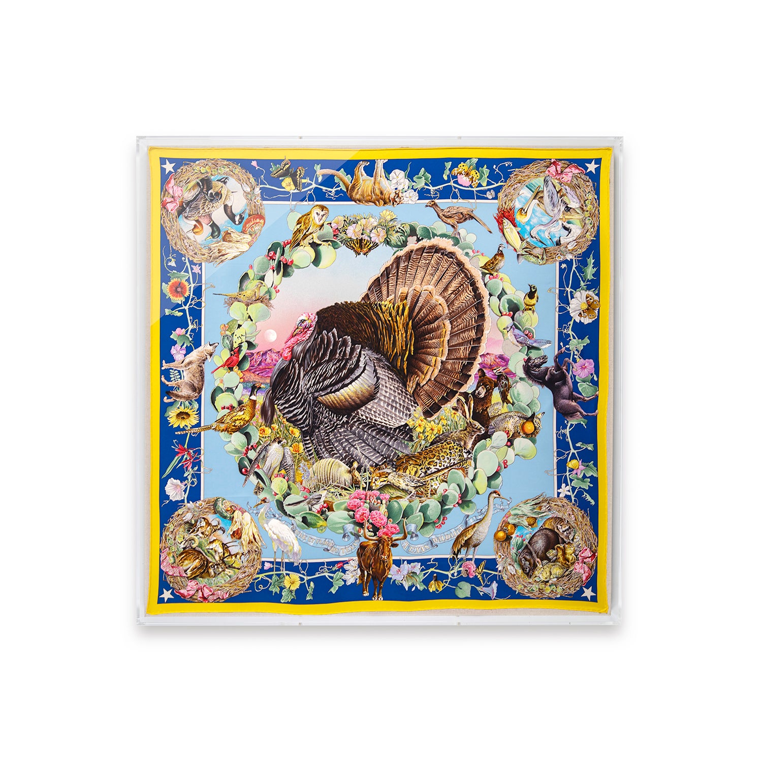 Framed Hermès Faune Et Flore du Texas Wildlife Silk Scarf by Kermit Oliver in a 36x36x2" Shadowbox