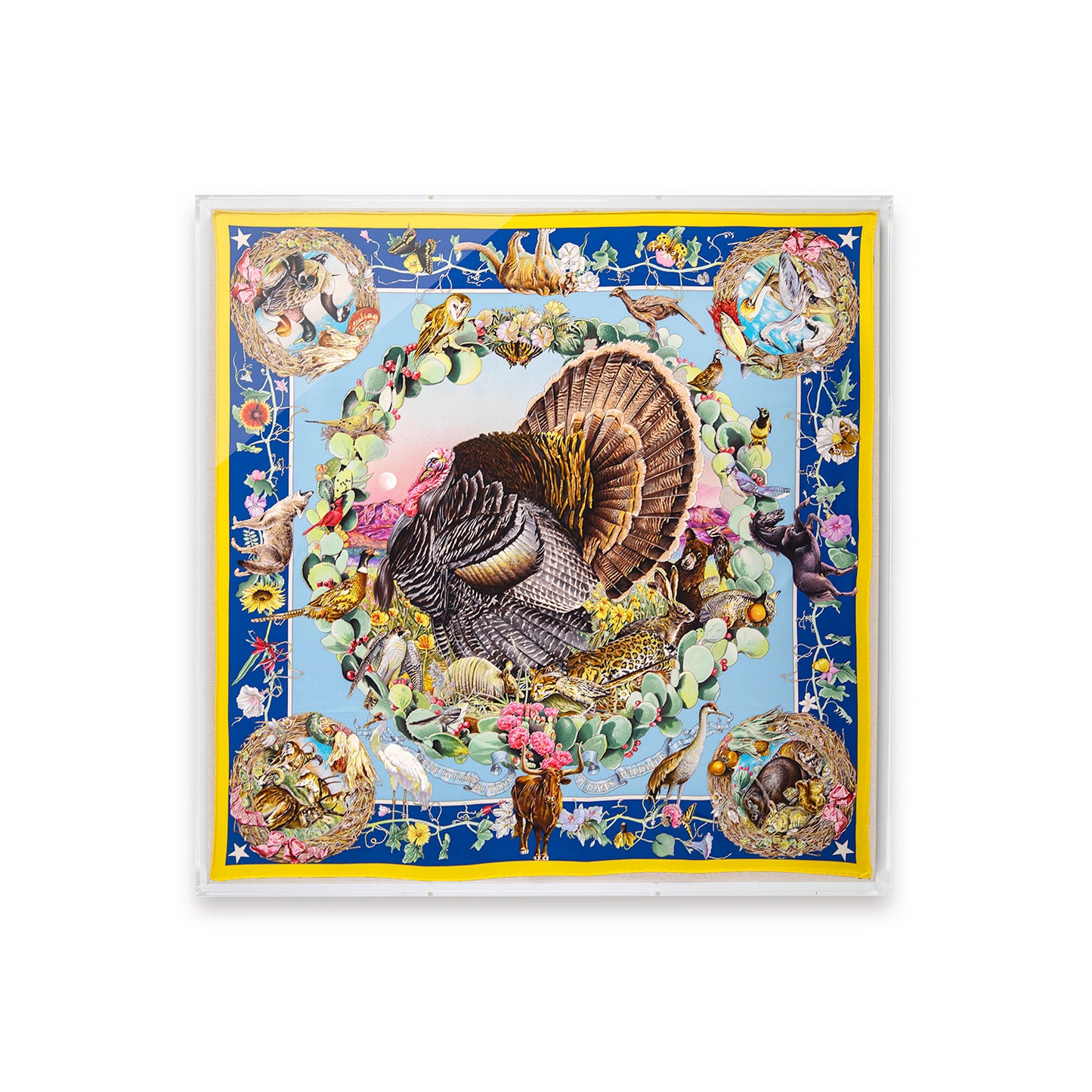 Framed Hermès Faune Et Flore du Texas Wildlife Silk Scarf by Kermit Oliver in a 36x36x2" Shadowbox