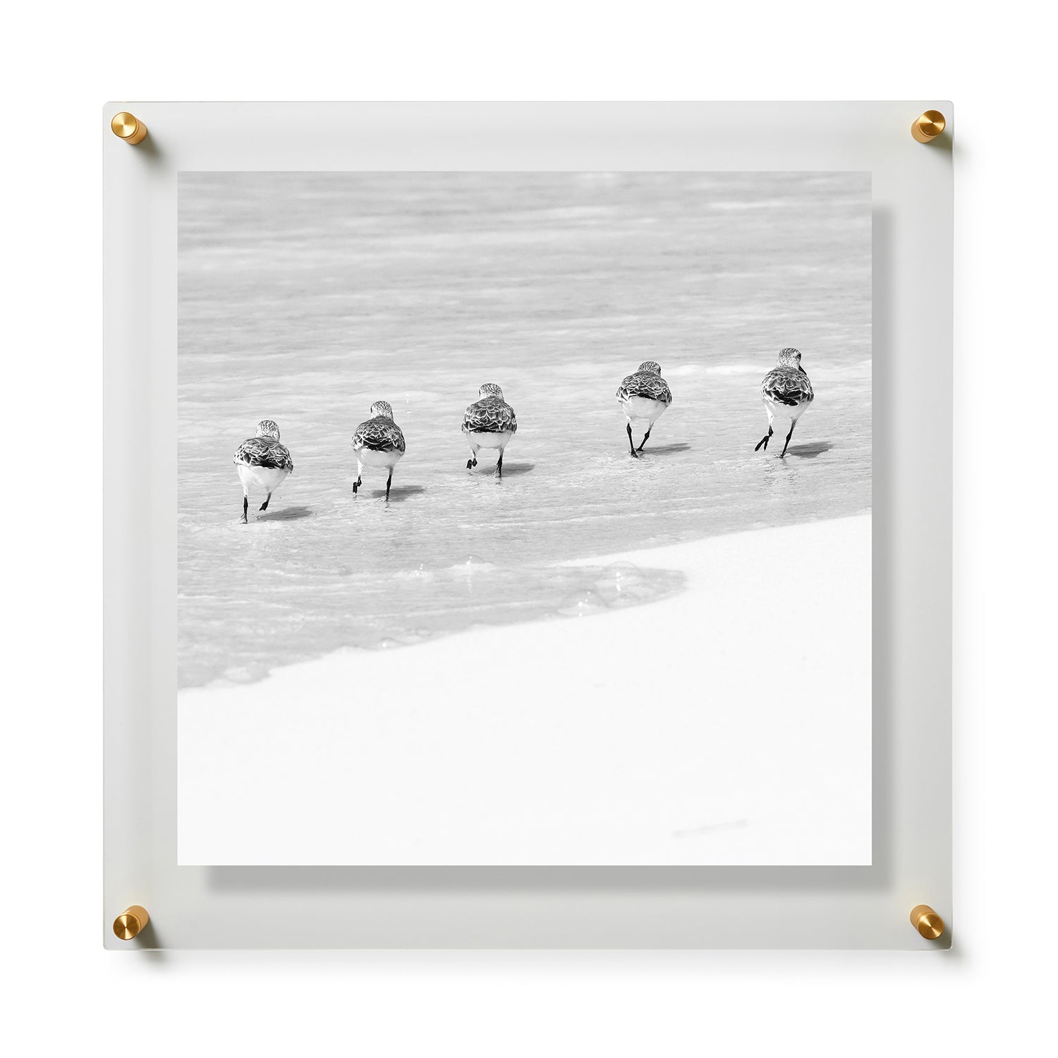 Fine Art Print / 28 x 28 / Gold