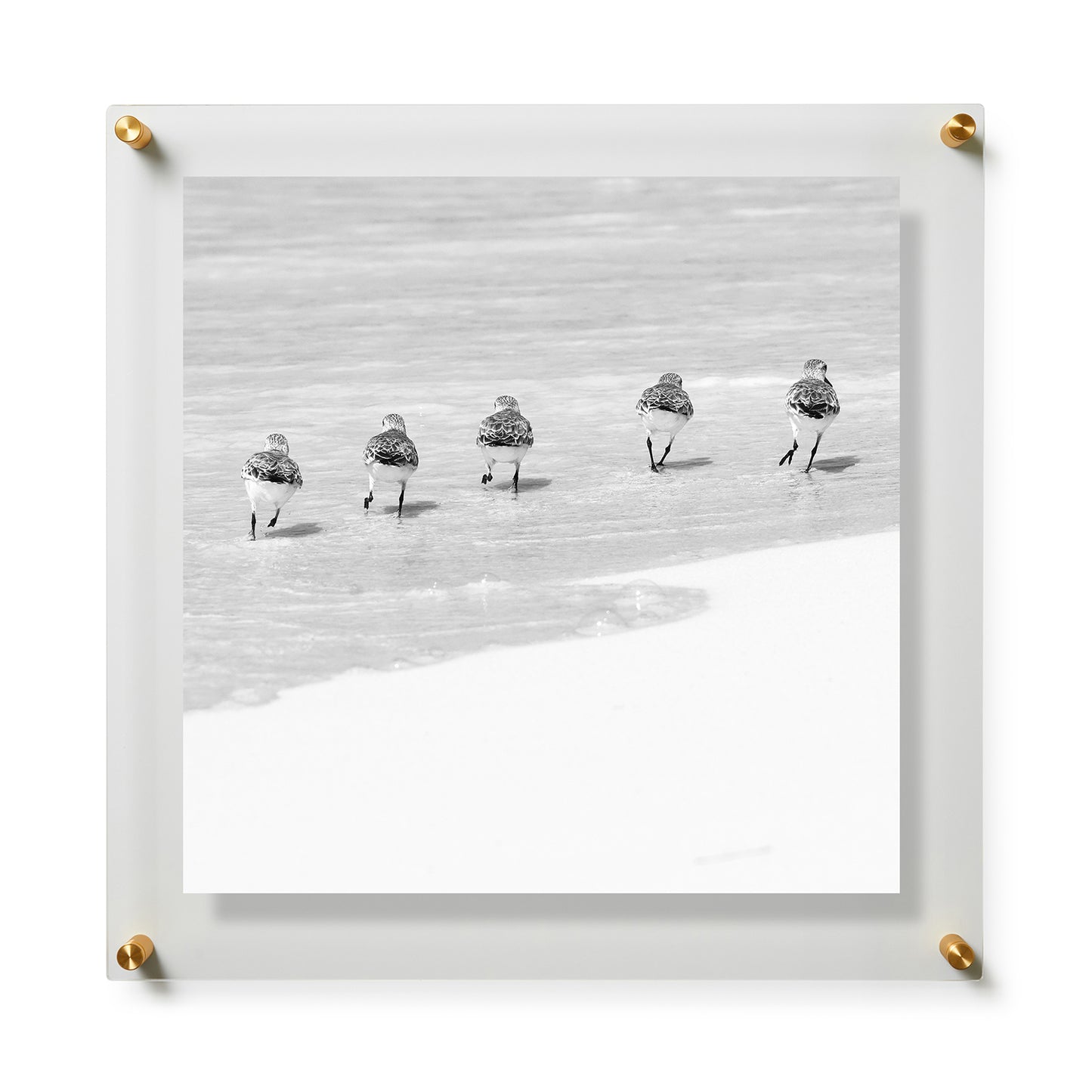 Fine Art Print / 28 x 28 / Gold