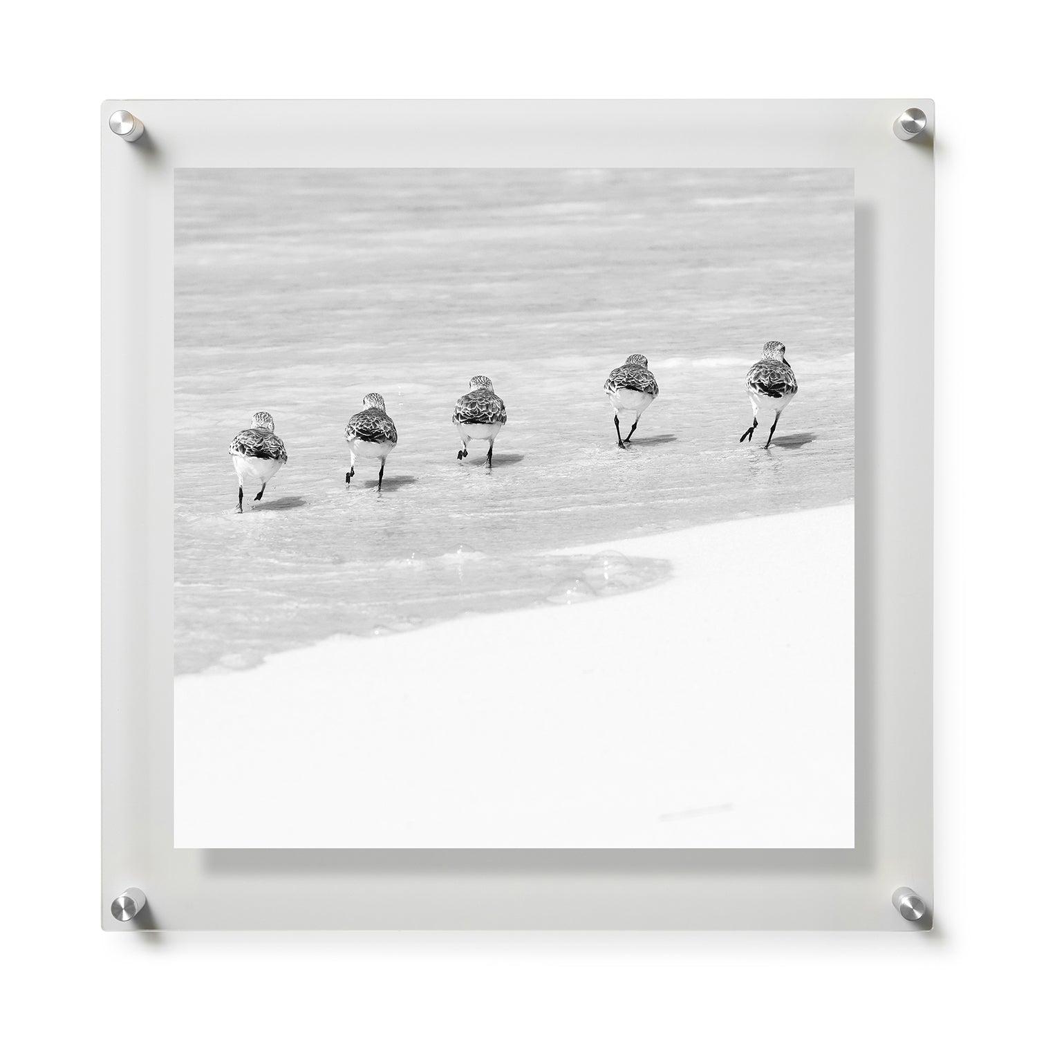 Fine Art Print / 28 x 28 / Silver