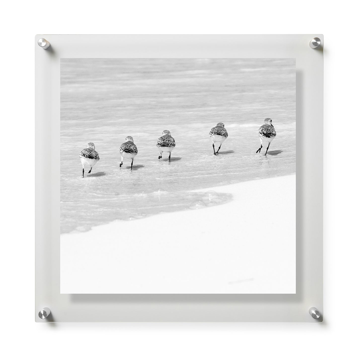 Fine Art Print / 28 x 28 / Silver